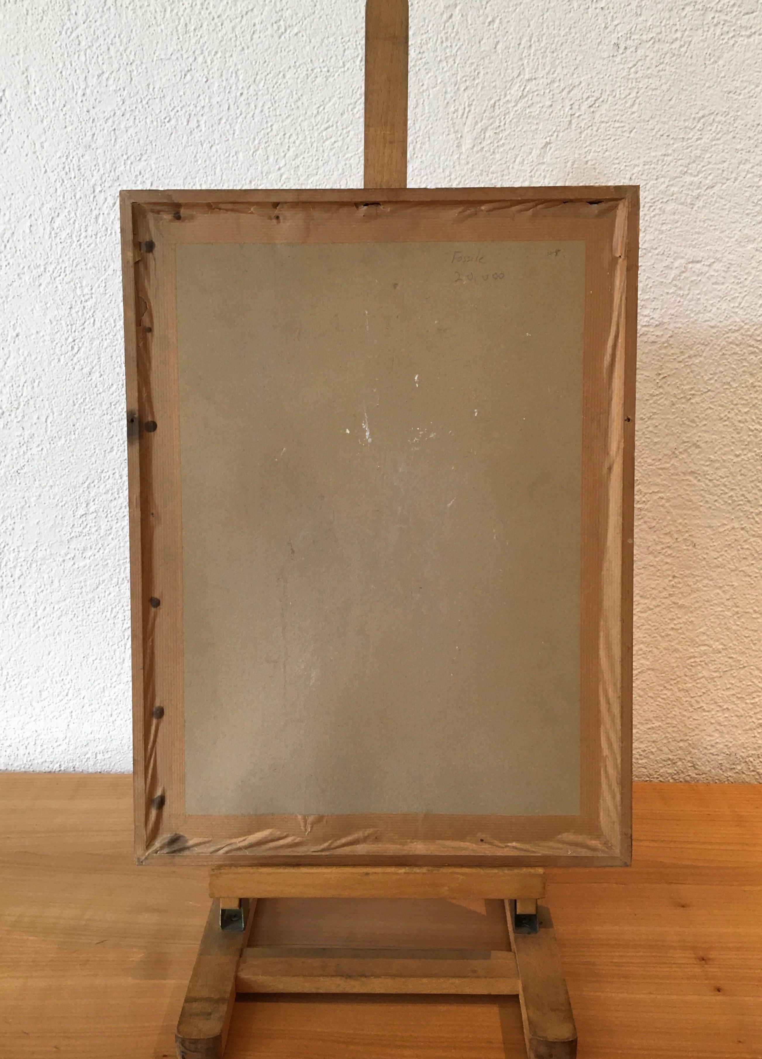 Fósil en venta 2