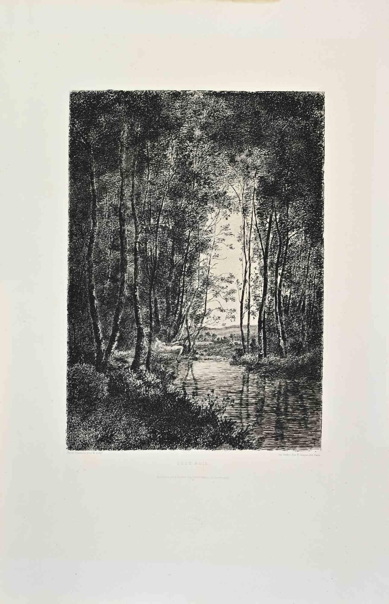 Sous Bois is a black and white etching realized by Xavier Dananche (1828-1894) in 1870s.

Titled in the lower.

Image size: 23cmx32cm.

Good condition.

Not signed.

Realized by Cadart for the "Société des Aquafortistes. Born on the initiative of
