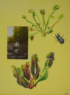 La foresta magica