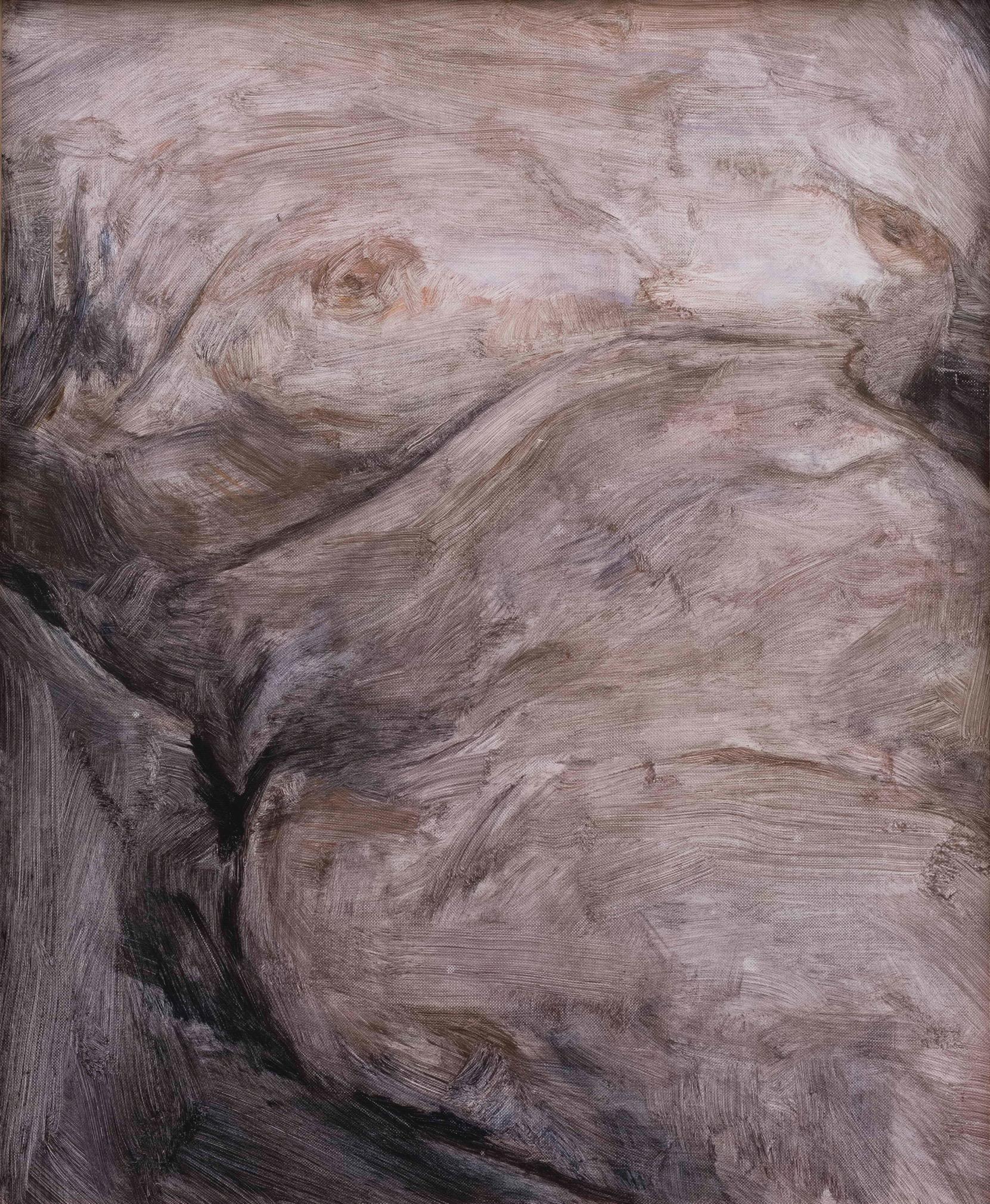 Olio su carta

Xia Fu-Ning è un'artista cinese nata nel 1962 a Nanchino. Negli anni '80 è stato professore presso il Dipartimento di Belle Arti dell'Università Politecnica di Tianjin e attualmente vive e lavora nel villaggio degli artisti Song