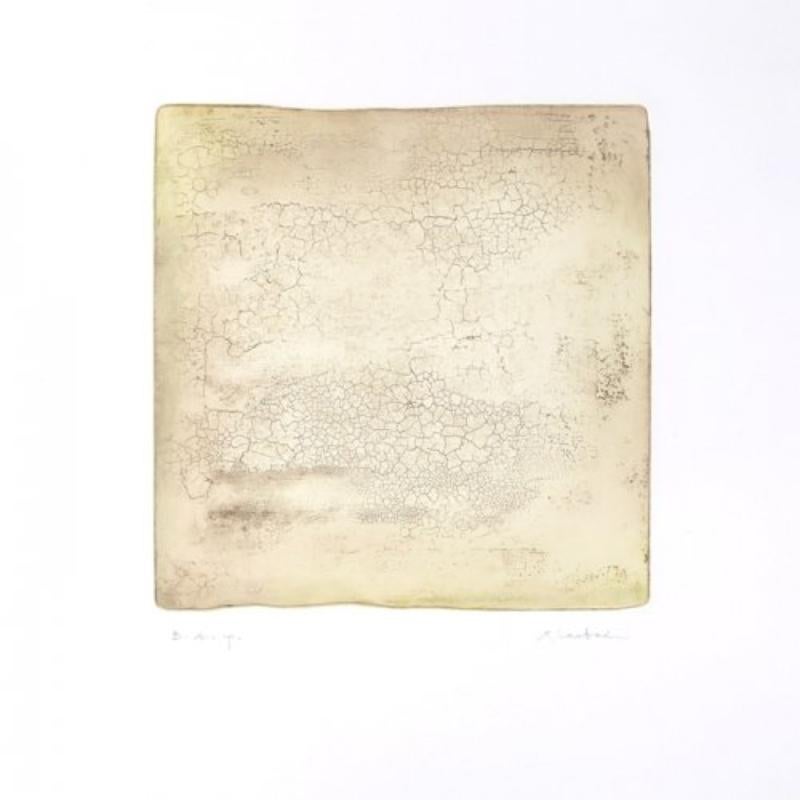 Xiaobai Su Abstract Print - Intactness B