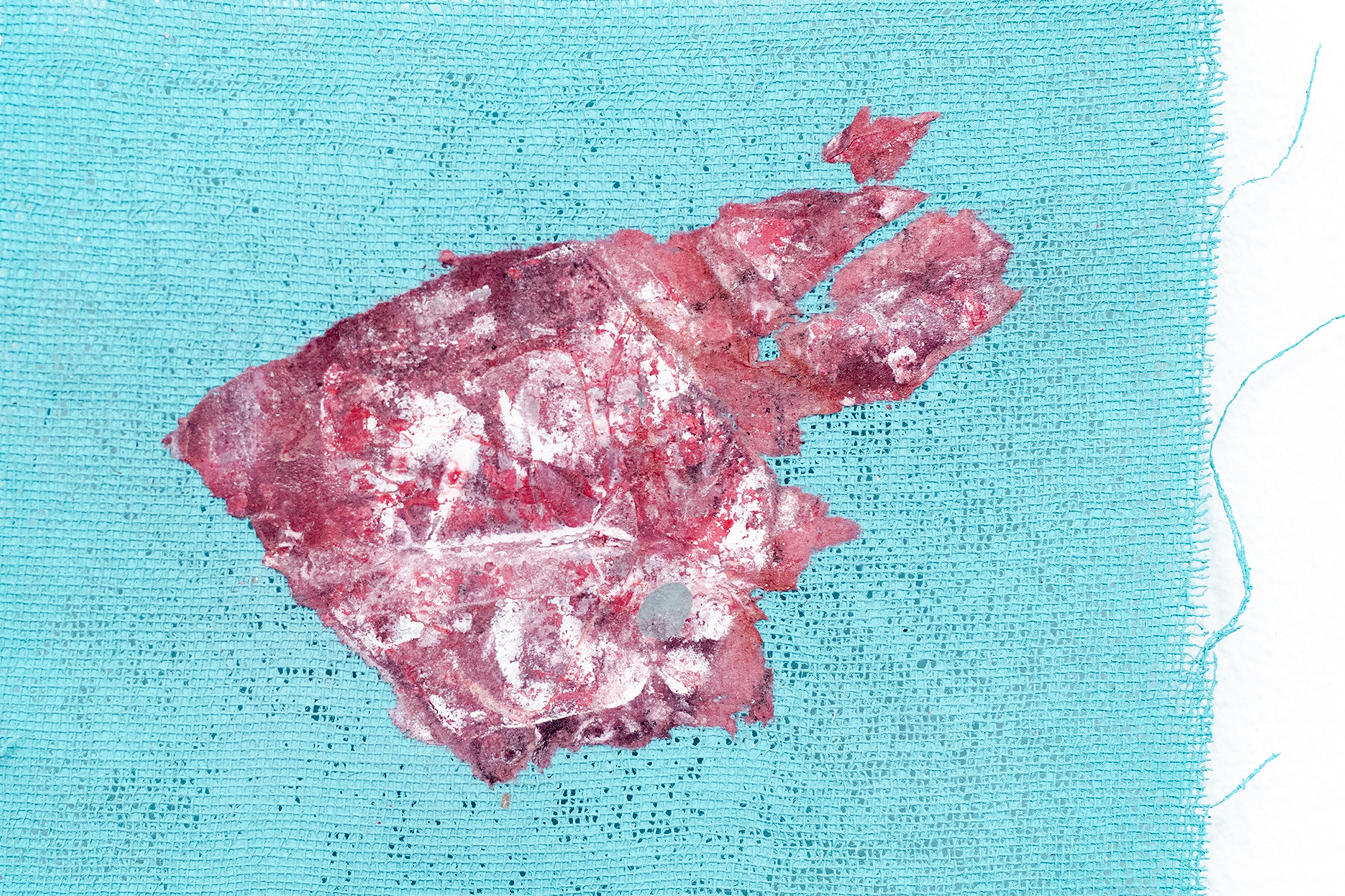 Flesh, Mulberry paper and acrylic on gauze 1