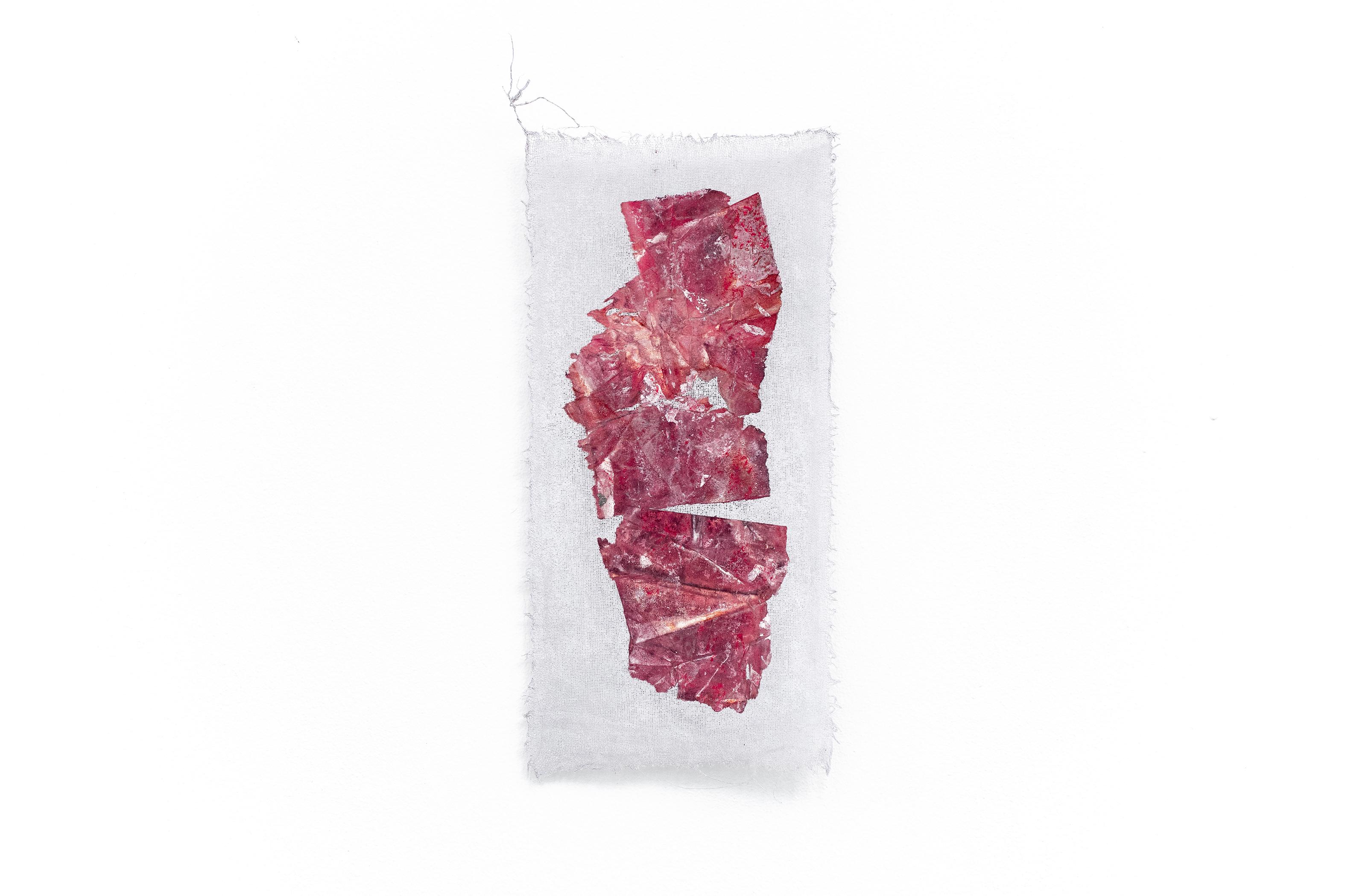 Flesh, Mulberry paper and acrylic on gauze - Painting by Xinyi Liu