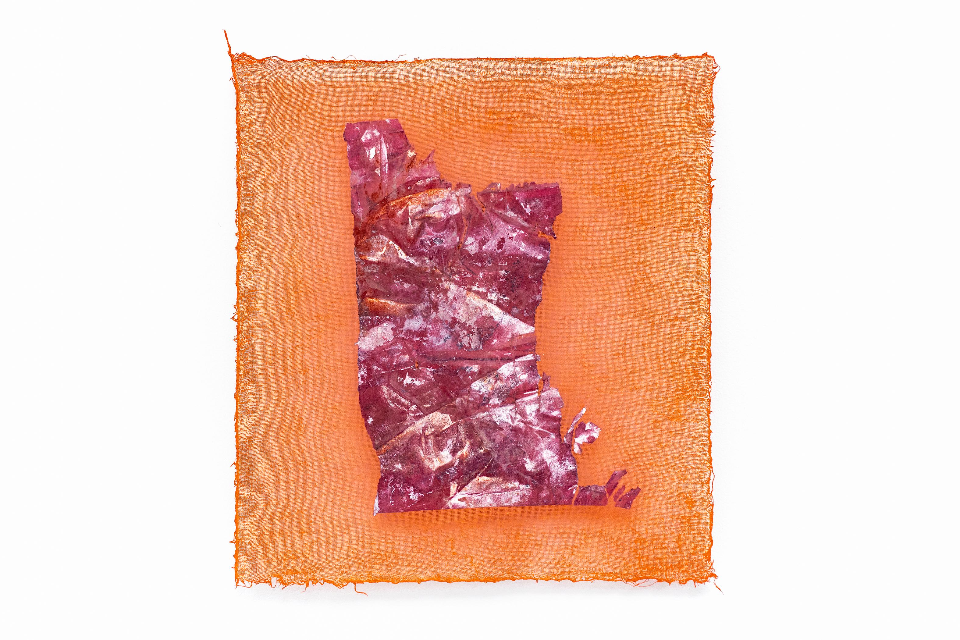 Meat, Mulberry paper and acrylic on gauze - Painting by Xinyi Liu