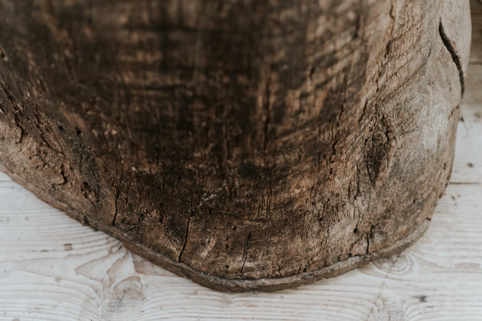 Extra Large 19th Century Extra Large Tree Trunk Planter/Sculpture 6