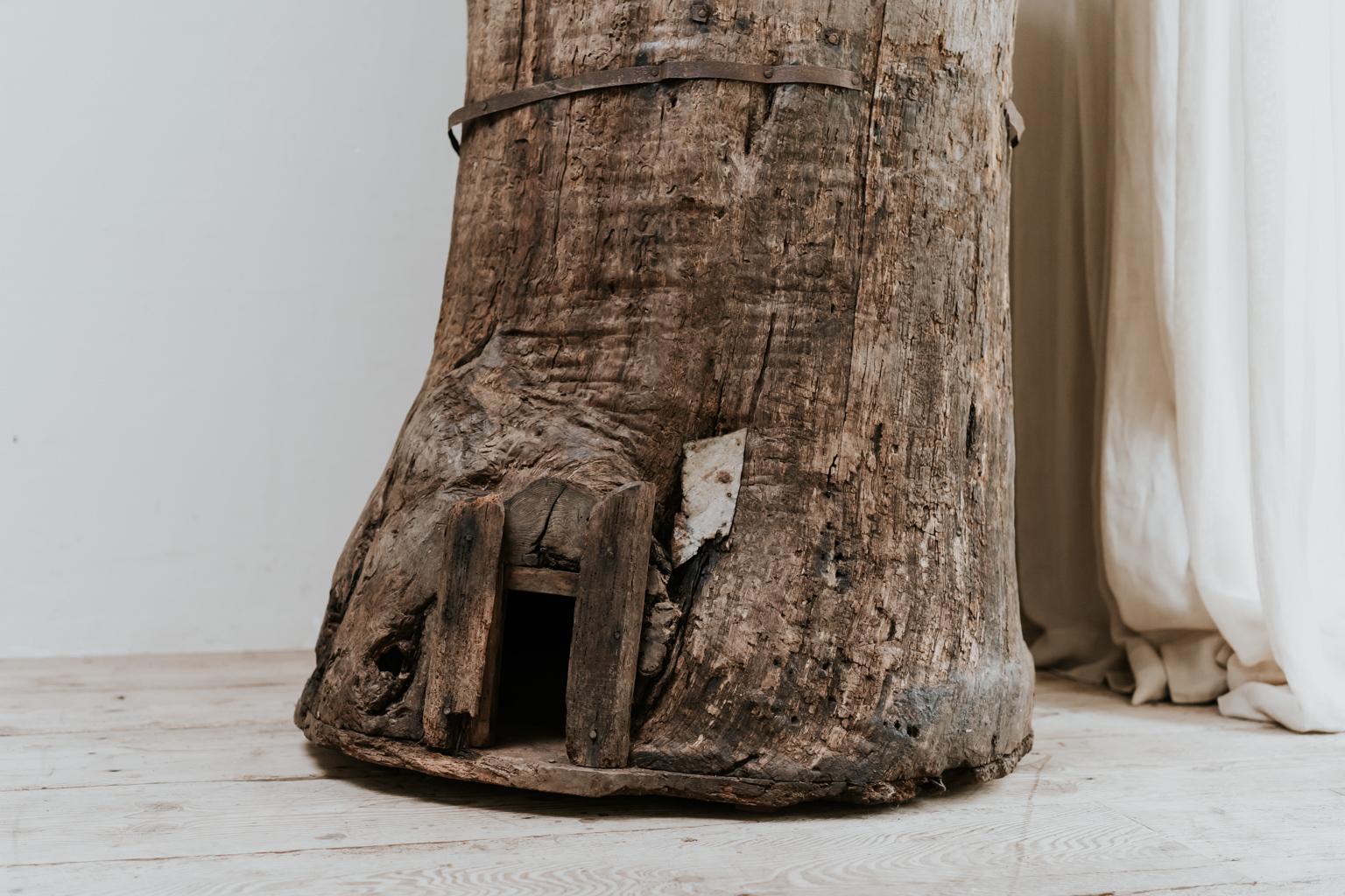 Romanian Extra Large 19th Century Extra Large Tree Trunk Planter/Sculpture