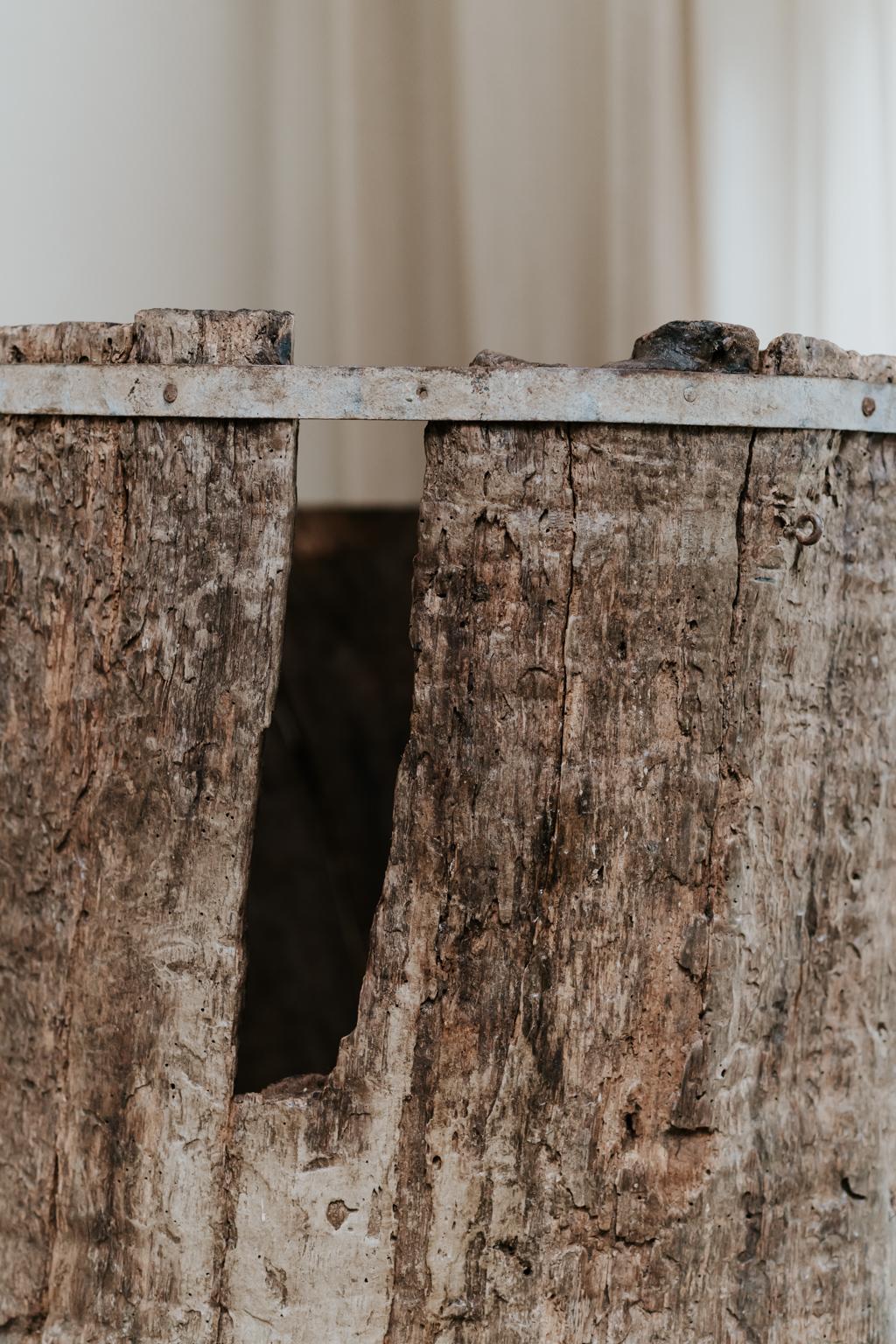 Extra Large 19th Century Extra Large Tree Trunk Planter/Sculpture In Distressed Condition In Brecht, BE
