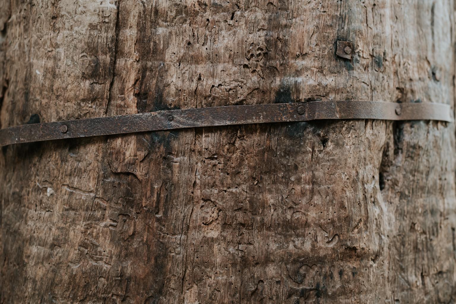 Iron Extra Large 19th Century Extra Large Tree Trunk Planter/Sculpture