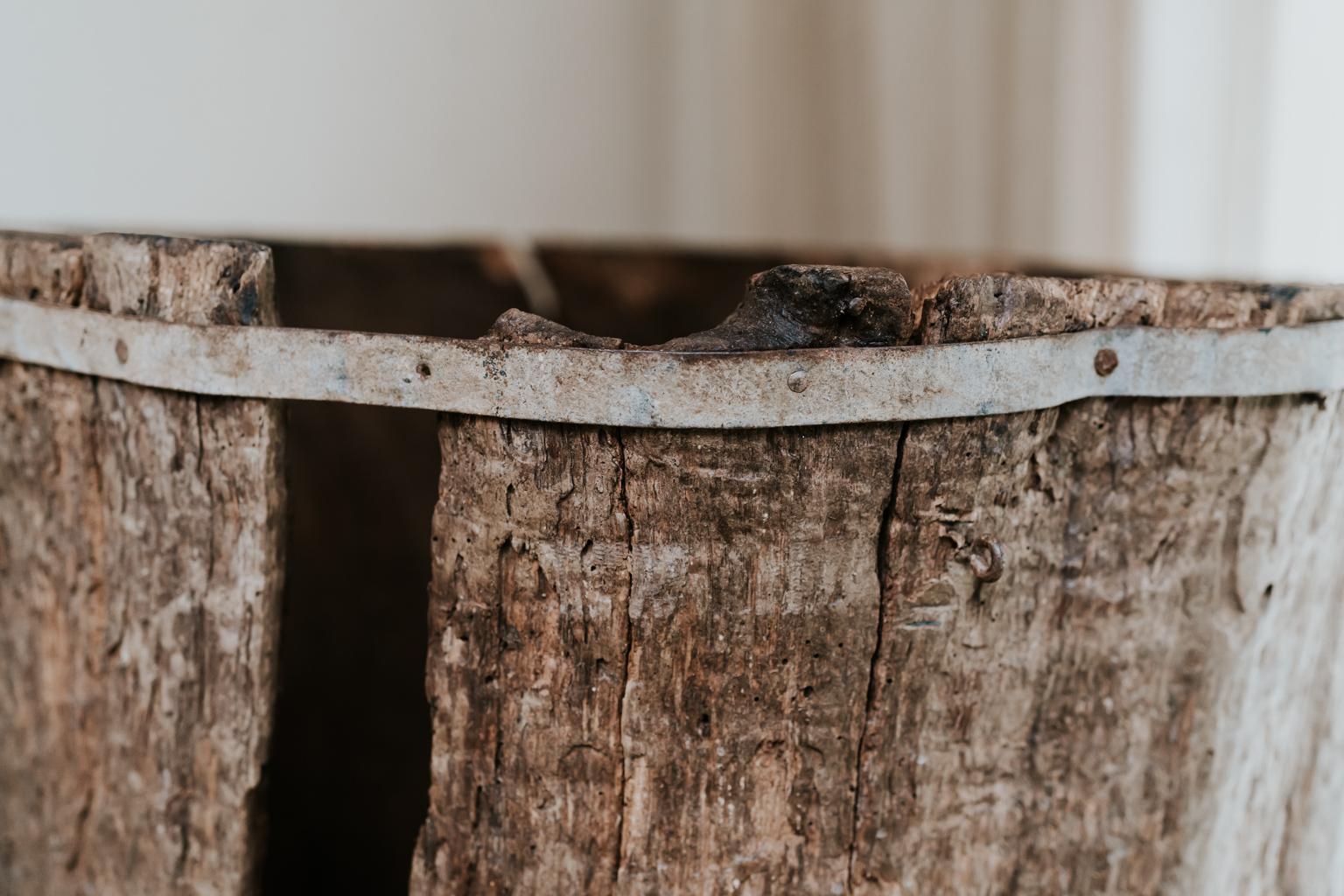 Extra Large 19th Century Extra Large Tree Trunk Planter/Sculpture 1