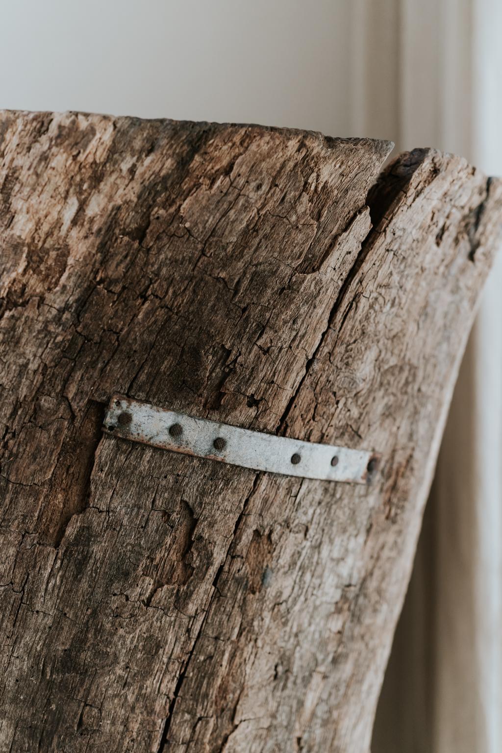 Extra Large 19th Century Extra Large Tree Trunk Planter/Sculpture 4