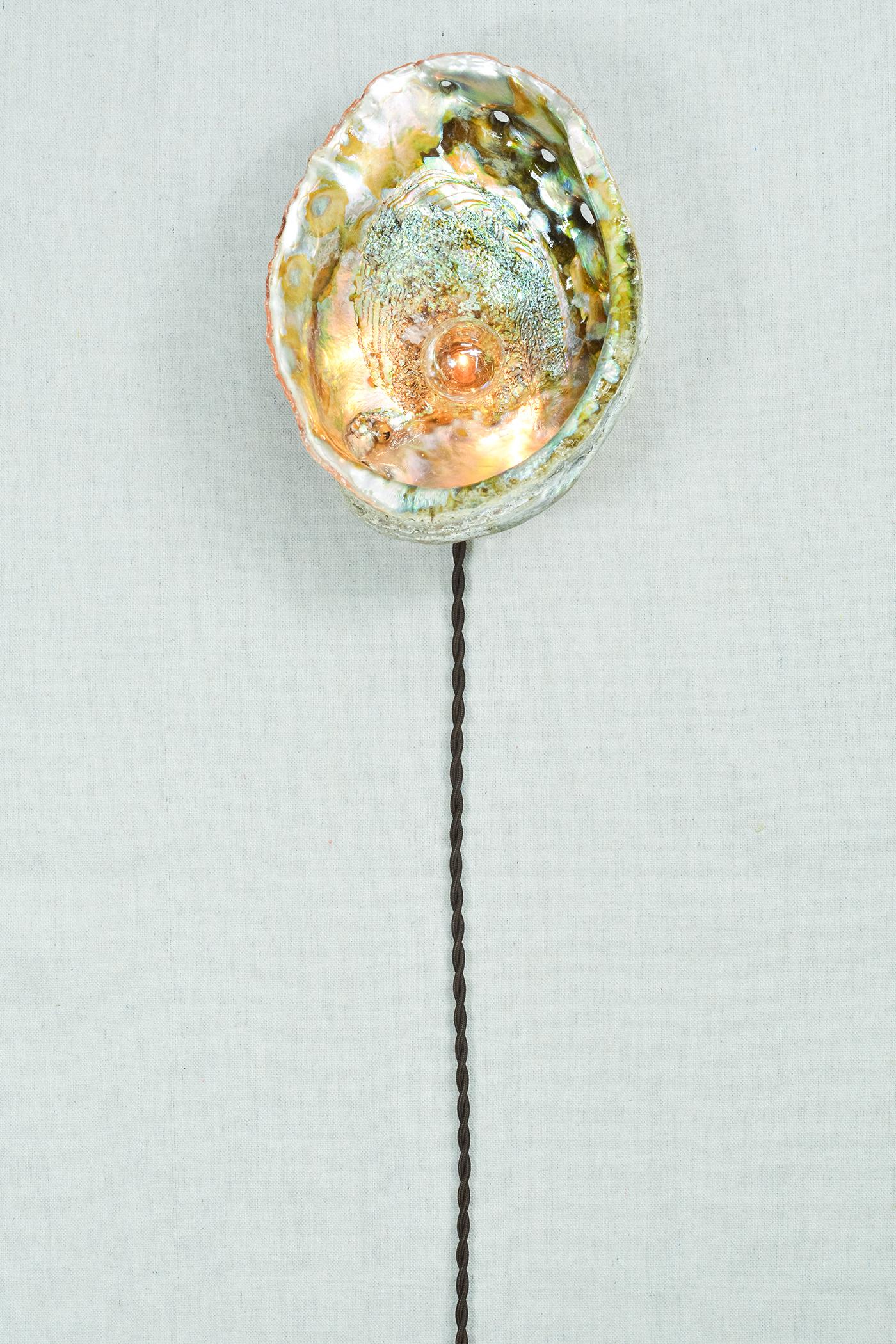 XL Abalone-Wandleuchter mit Vintage-Muschelschirm und Terrakotta-Sockel [Korded] (Moderne) im Angebot