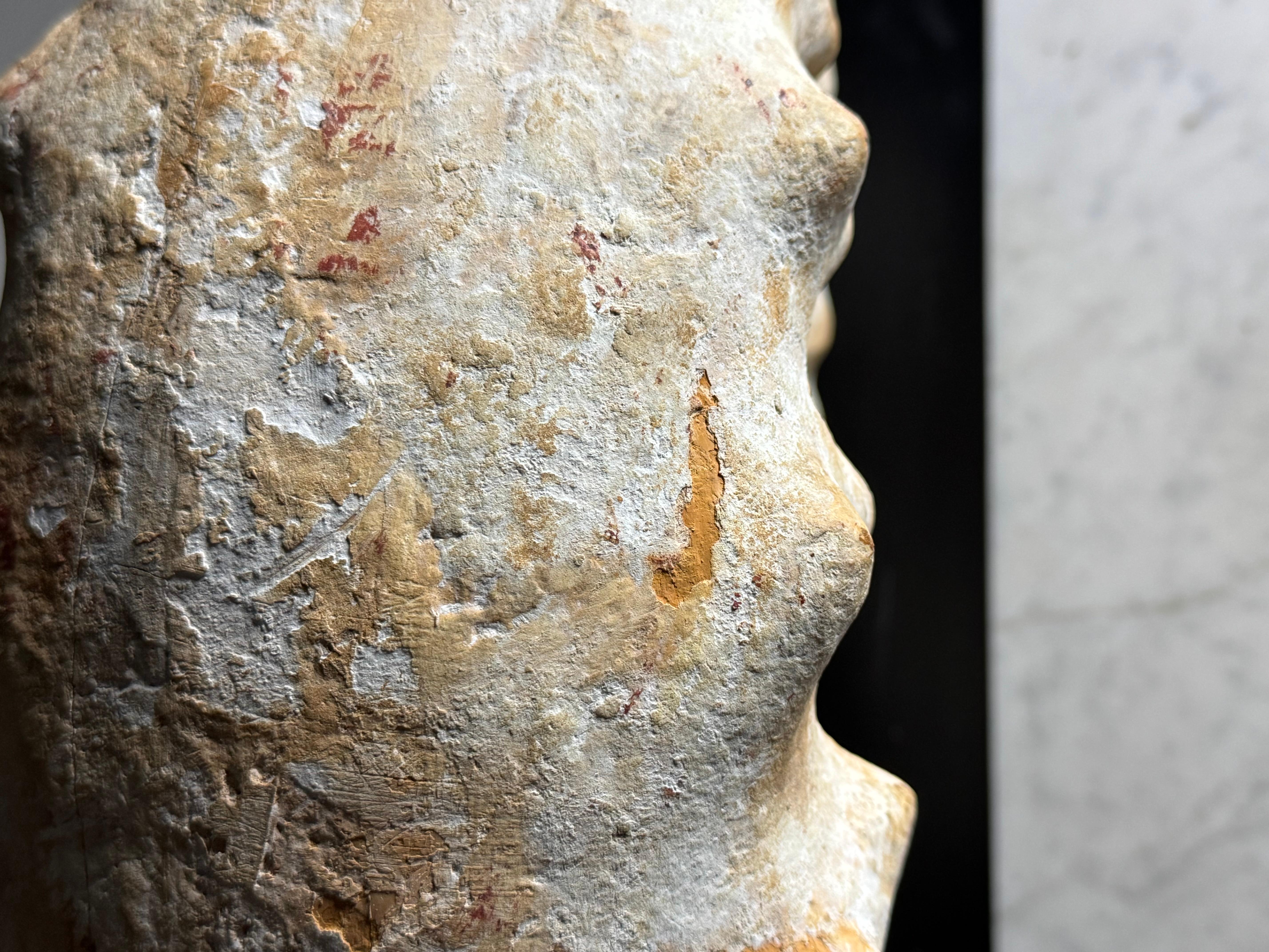 Fossile di Ammonite XL su supporto in vendita 9