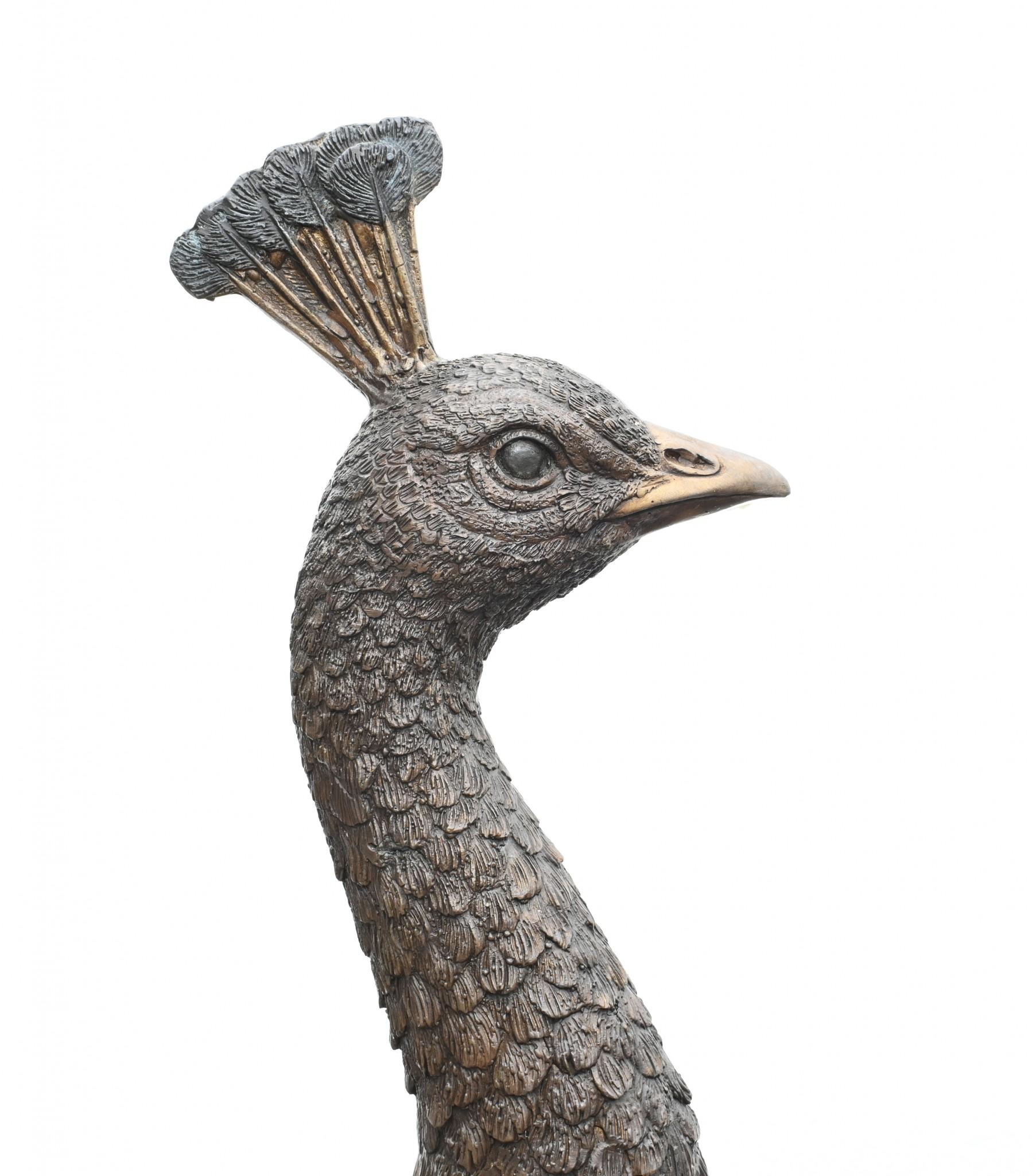XL Bronce Pavo Real Estatua Gallina Jardín Pájaro Fundición 5 Pies en venta 3