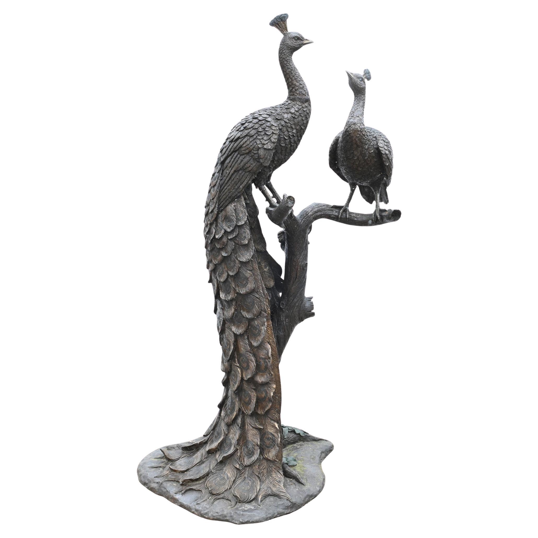XL Bronce Pavo Real Estatua Gallina Jardín Pájaro Fundición 5 Pies