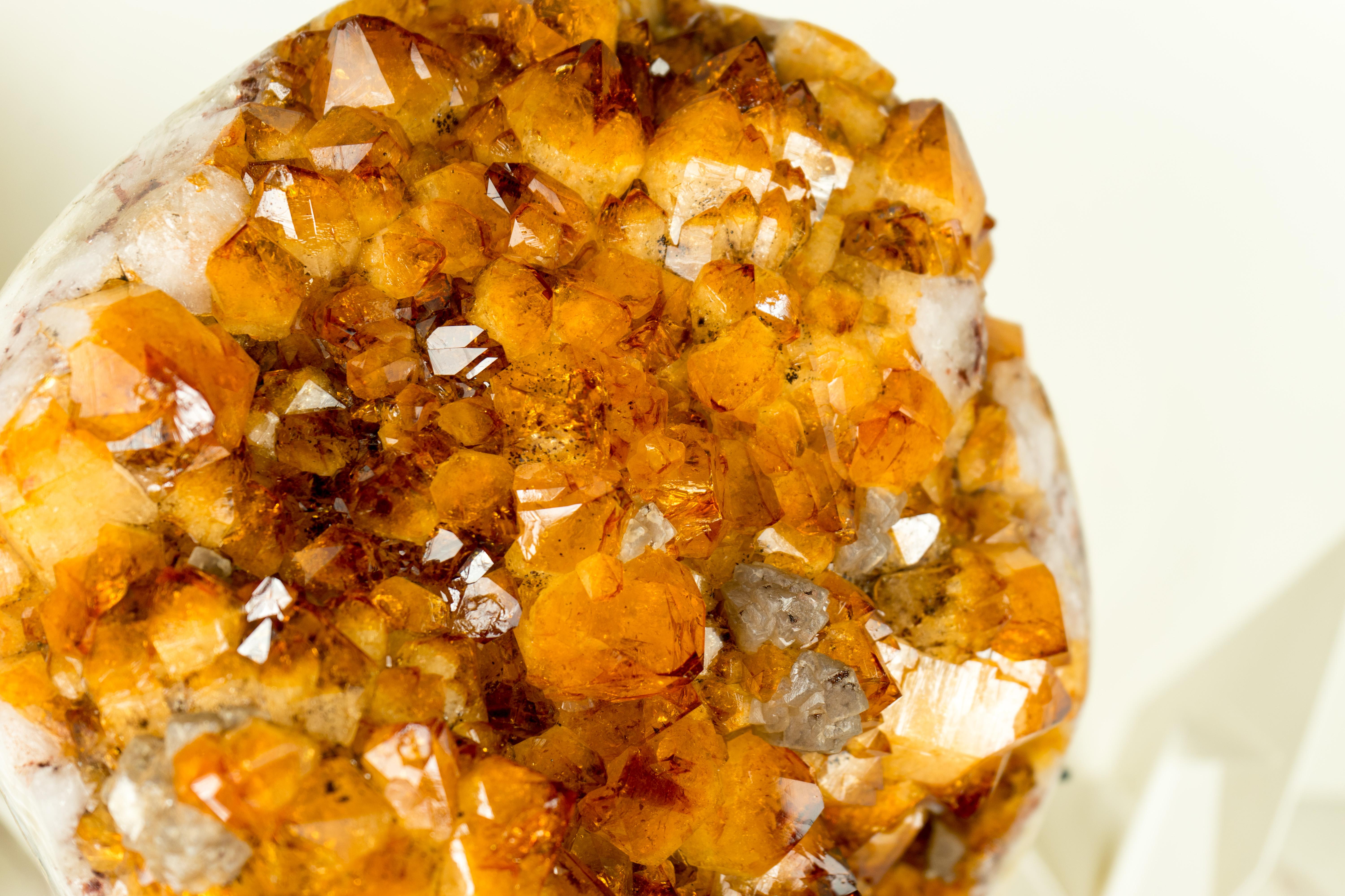 XL Citrine Flower Crystal Geode, with AAA Citrine Druzy For Sale 6