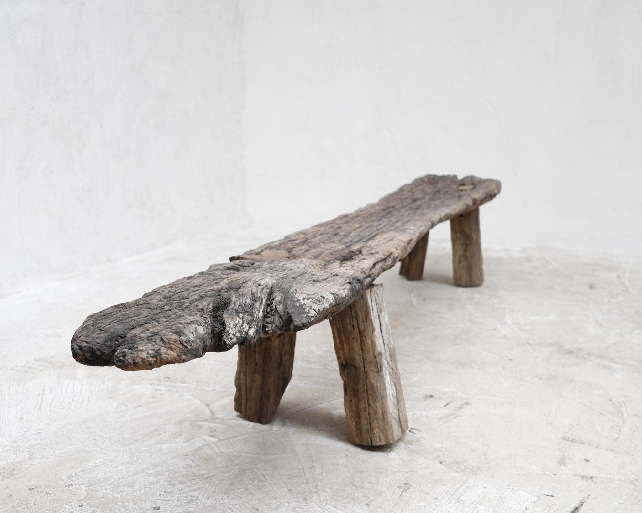 Noyer Banc en liège portugais primitif Wabi Sabi XL du 19ème siècle en vente