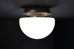 XL Italian Mushroom Flush Mount / Sconces /Table Lamp in Opaline Glass and Metal