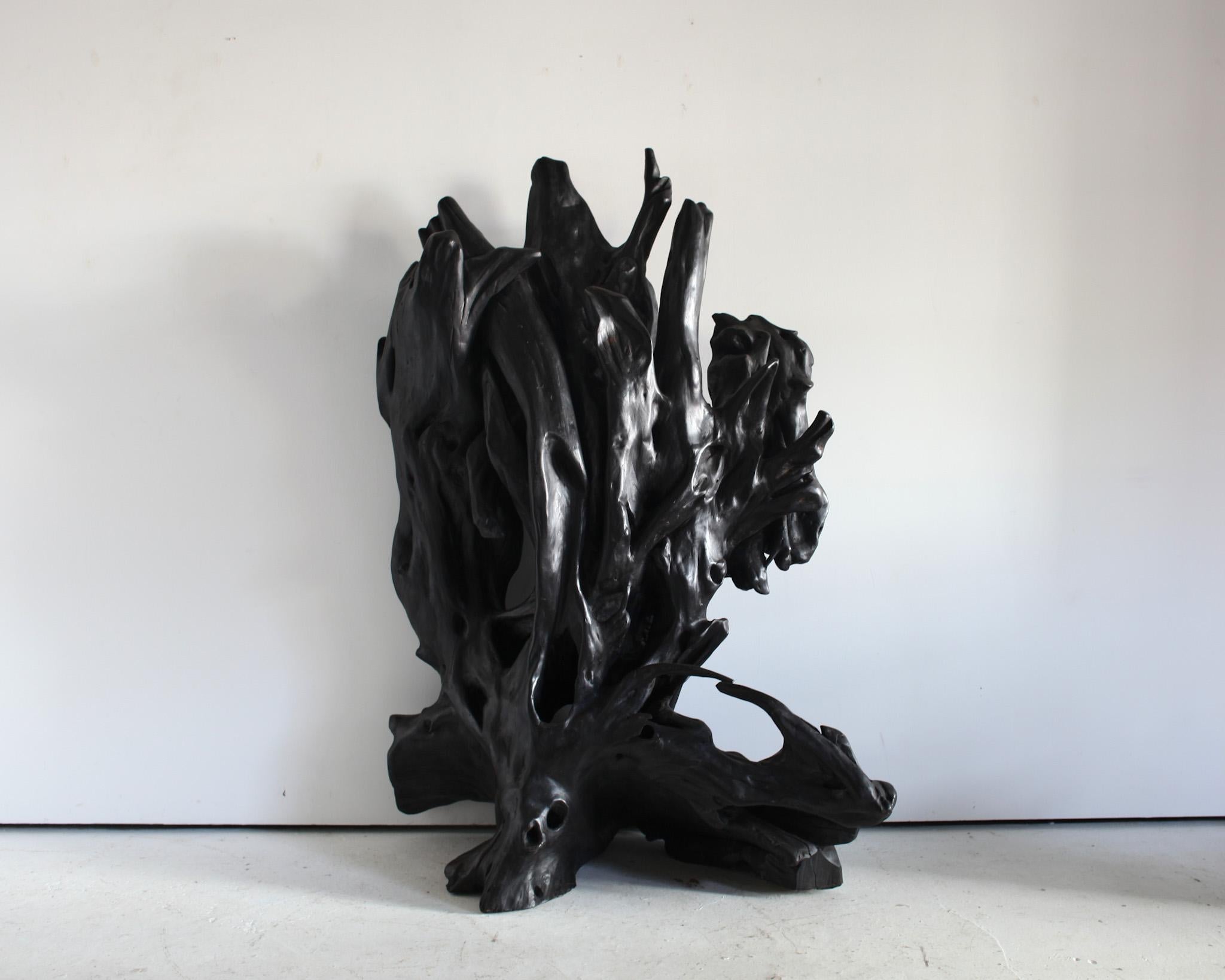 Sculpture japonaise Wabi Sabi de racine de cèdre calcinée XL en vente 1