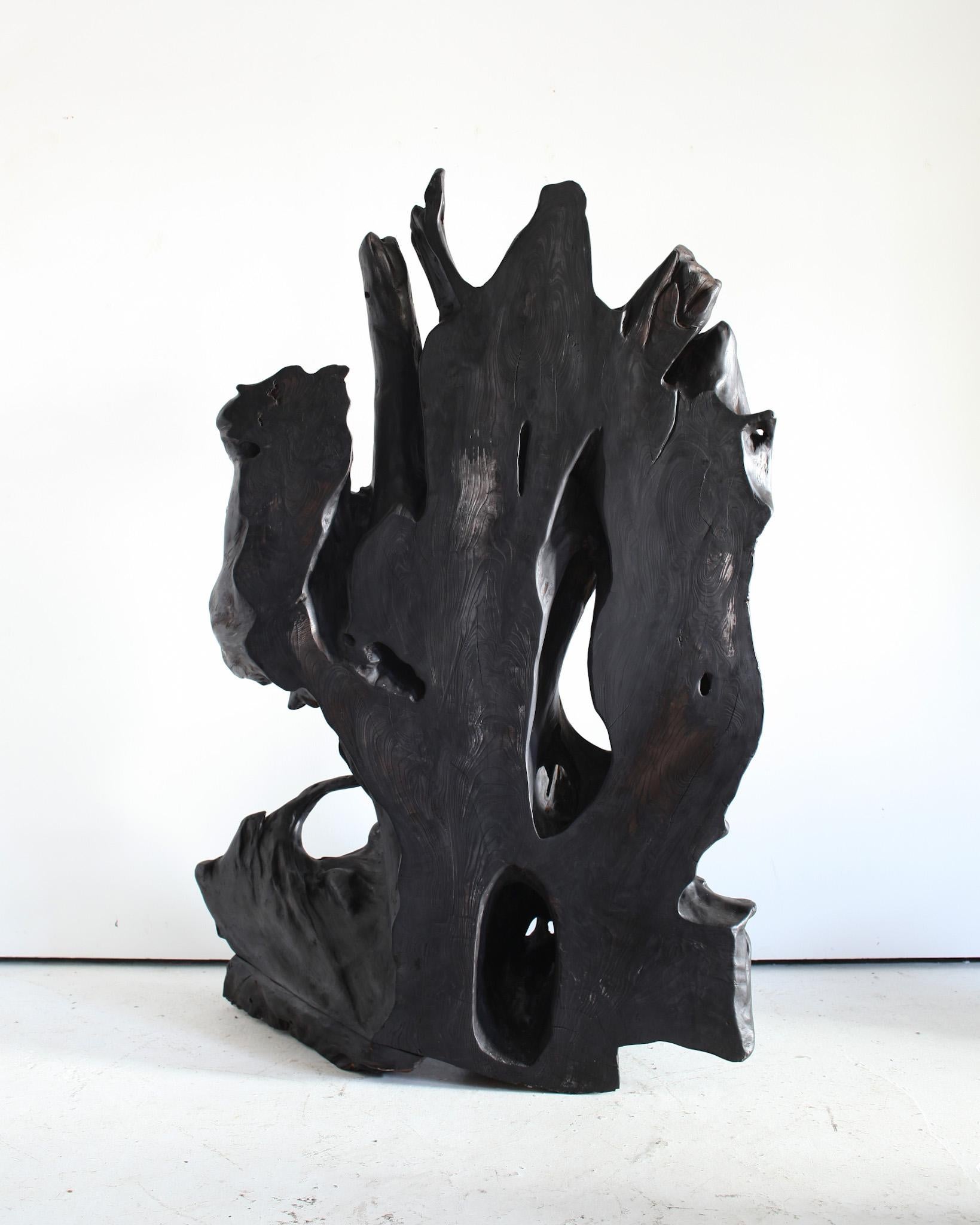 XL Japanese Charred Cedar Root Wabi Sabi Sculpture For Sale 4
