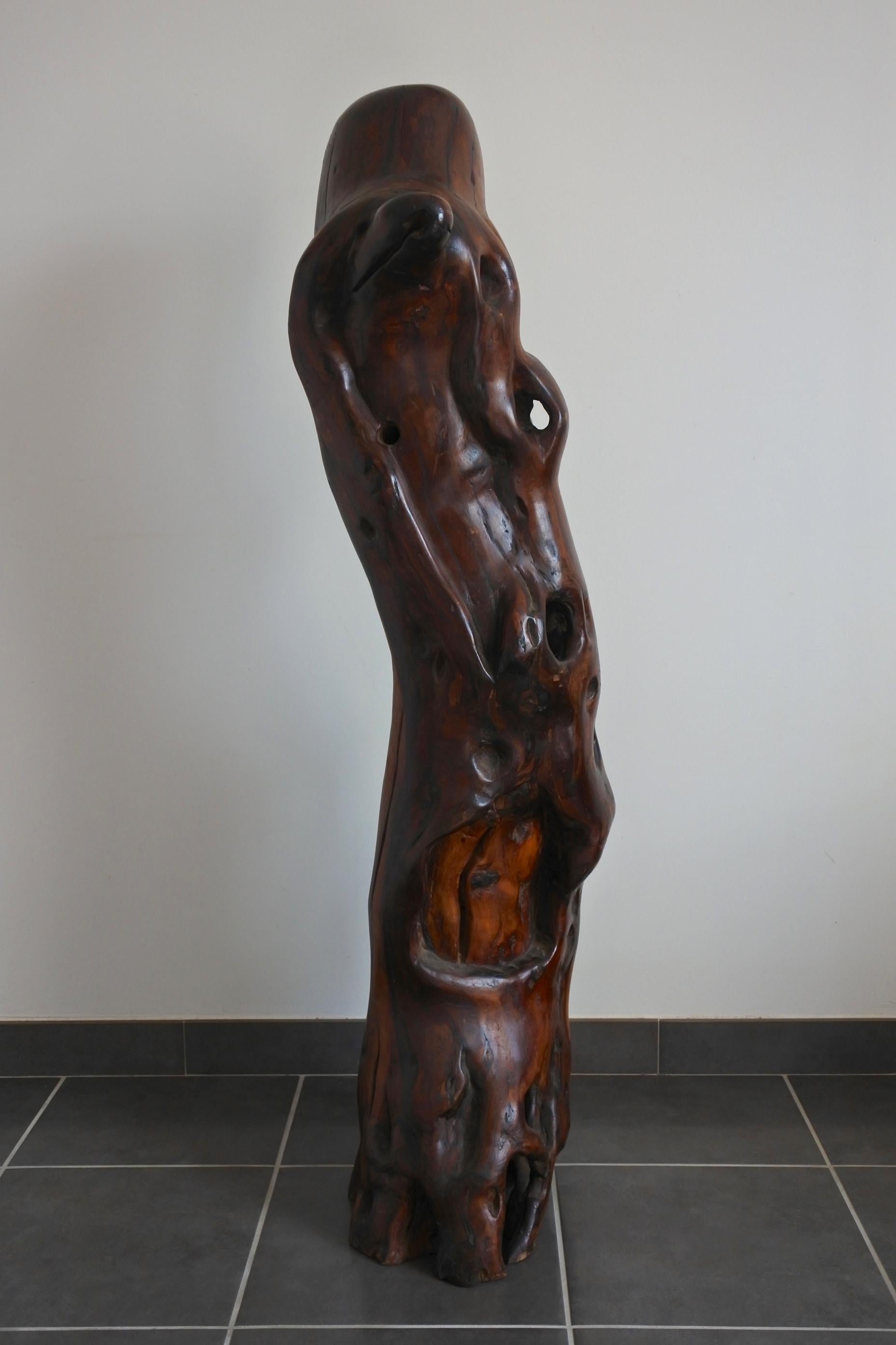 Extra Large Midcentury Olive Wood Trunk Sculpture, France 7