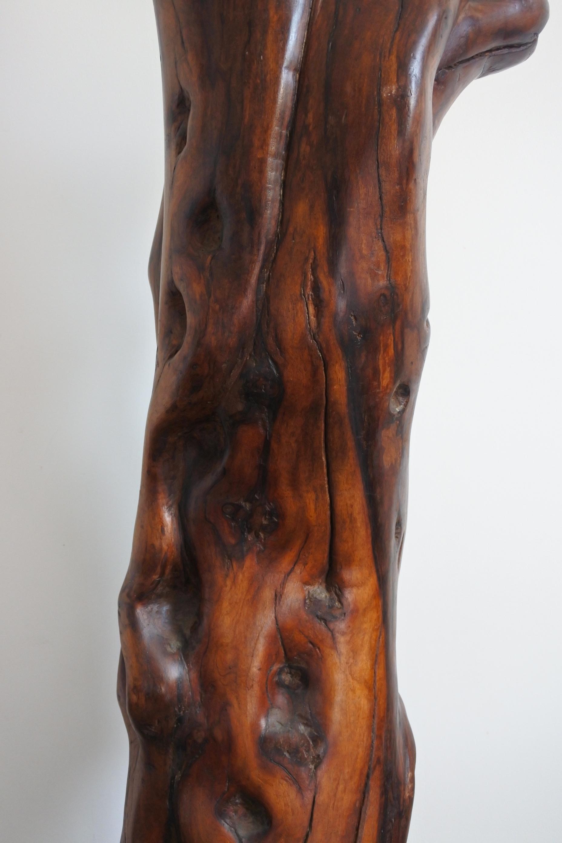Extra Large Midcentury Olive Wood Trunk Sculpture, France 8