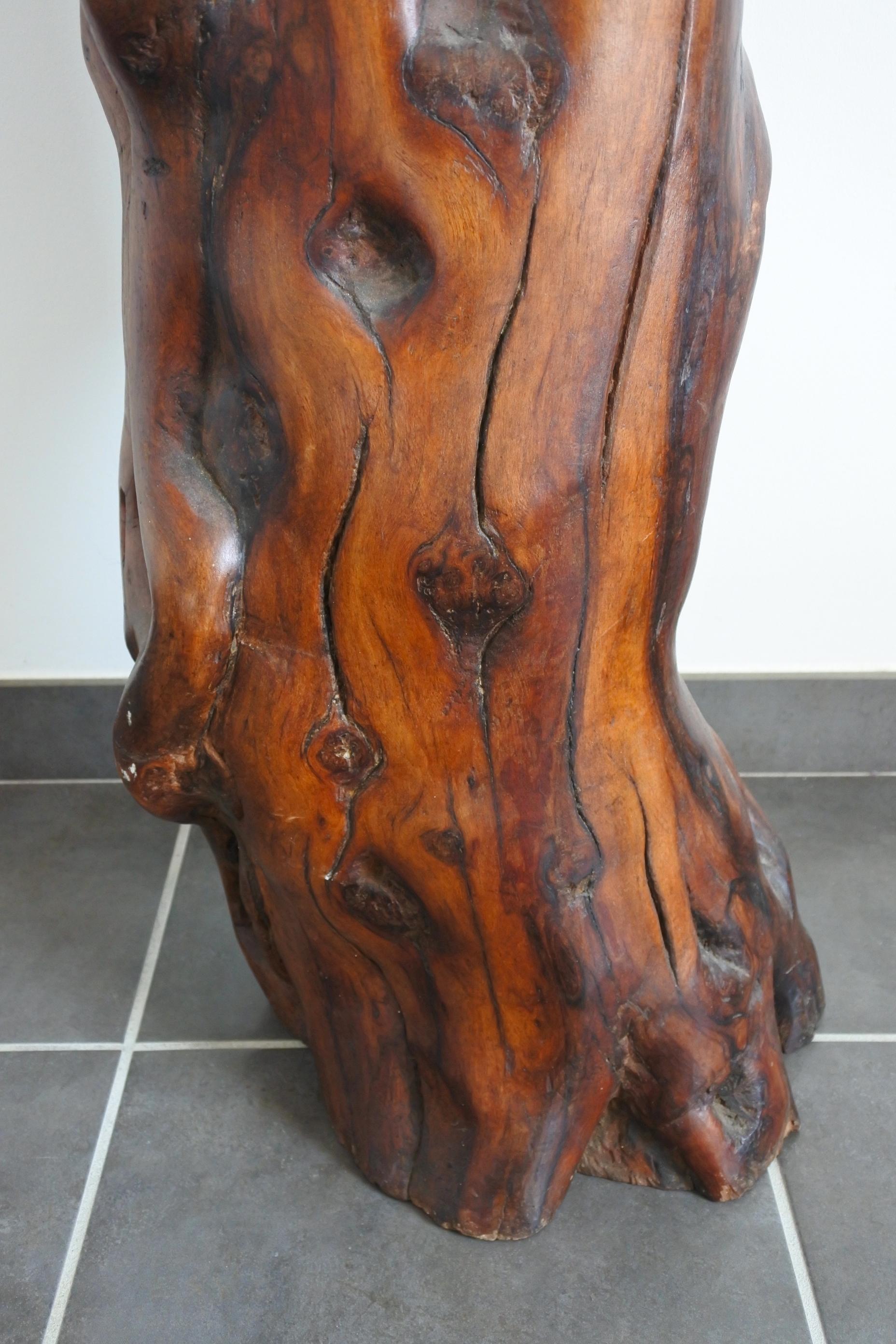 Extra Large Midcentury Olive Wood Trunk Sculpture, France 10