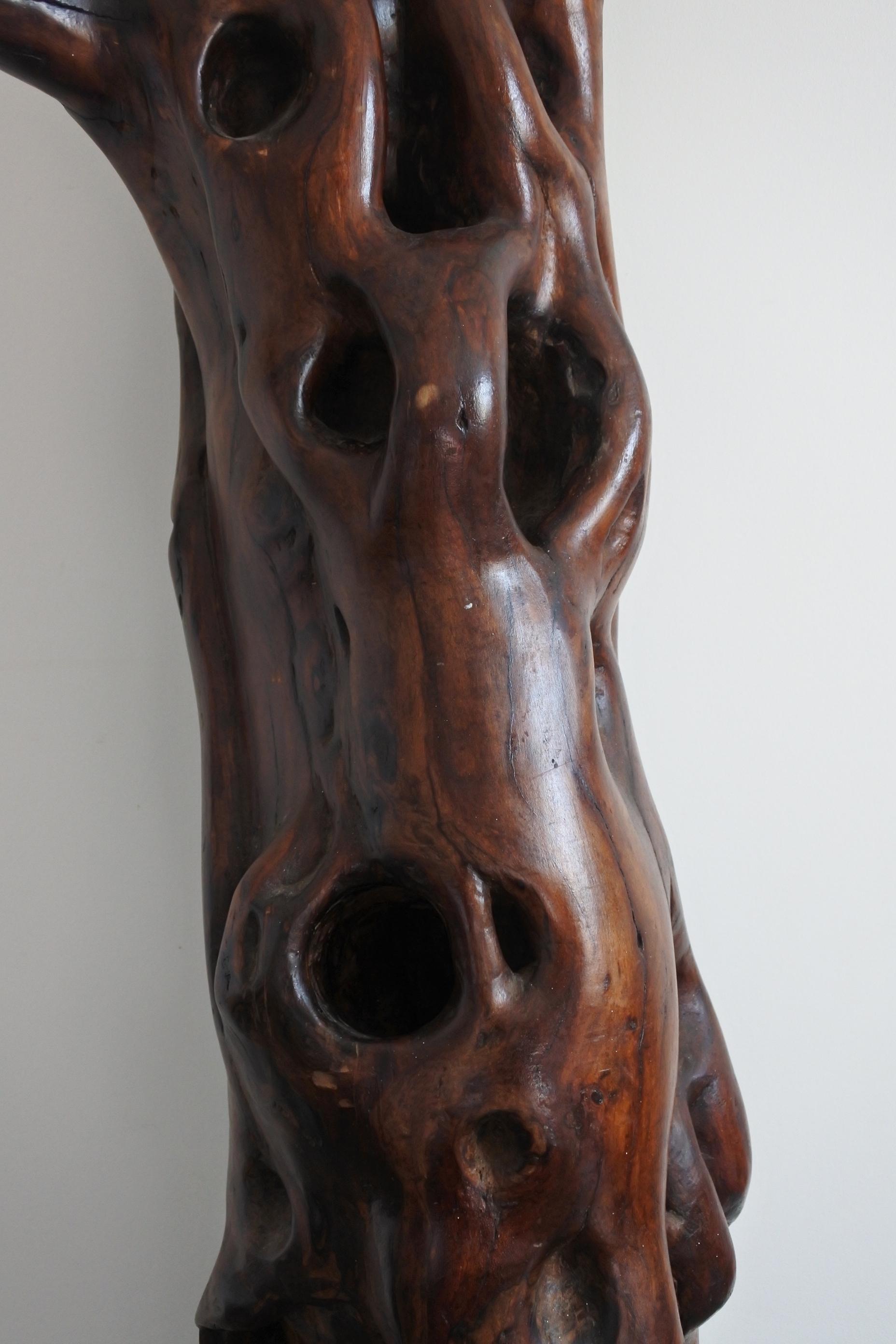 Extra Large Midcentury Olive Wood Trunk Sculpture, France 2