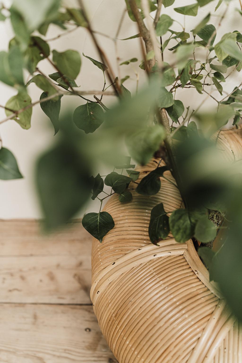 Extra Large Pair of Wicker/Rattan Planters 9