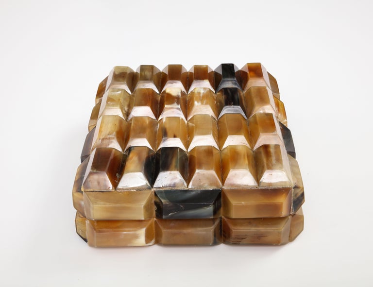 XL Polished Horn Rectangular Segment Box For Sale at 1stDibs