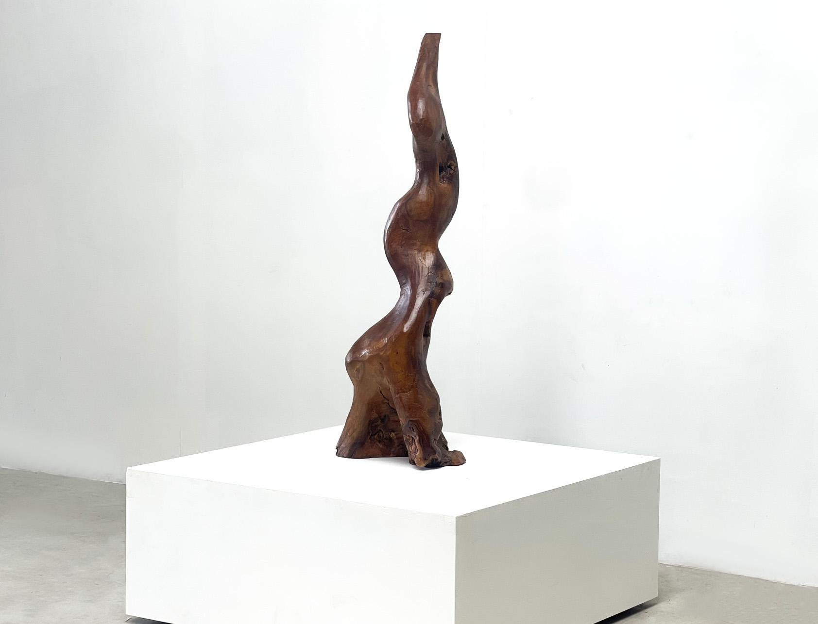 XL Wooden sculpture In Good Condition For Sale In Nijlen, VAN