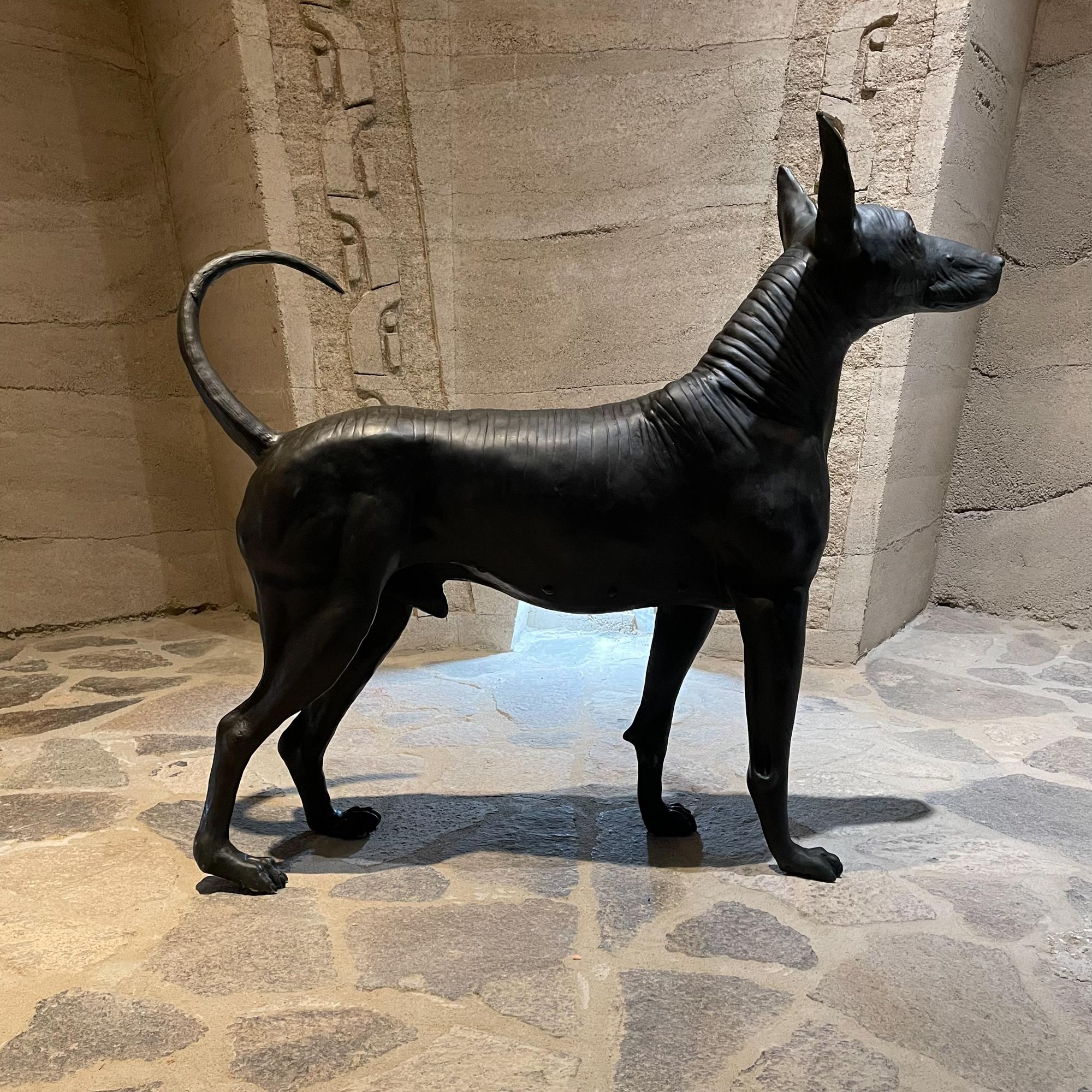 Xolo Hairless Dog Bronze Sculpture Master Sculptor Guillermo Castaño Mexico 2008 For Sale 2