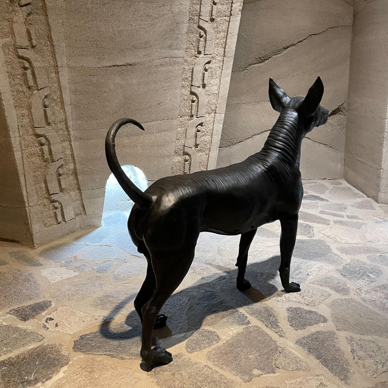 Xolo Hairless Dog Bronze Sculpture Master Sculptor Guillermo Castaño