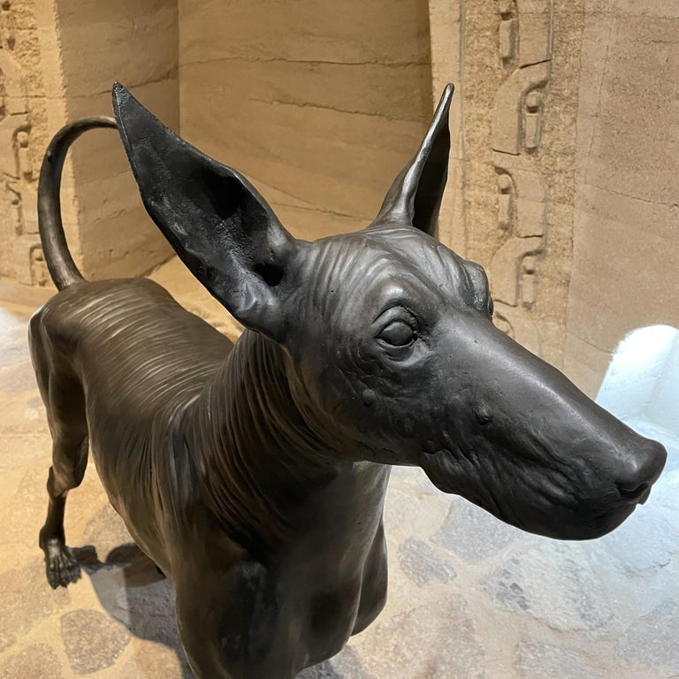 Xolo Hairless Dog Bronze Sculpture Master Sculptor Guillermo Castaño