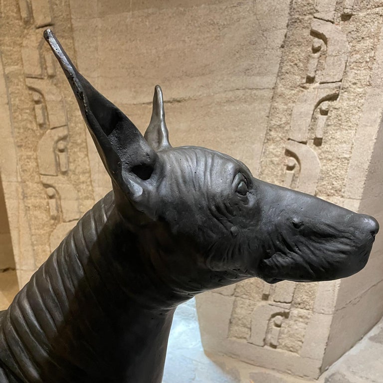 Xolo Hairless Dog Bronze Sculpture Master Sculptor Guillermo Castaño