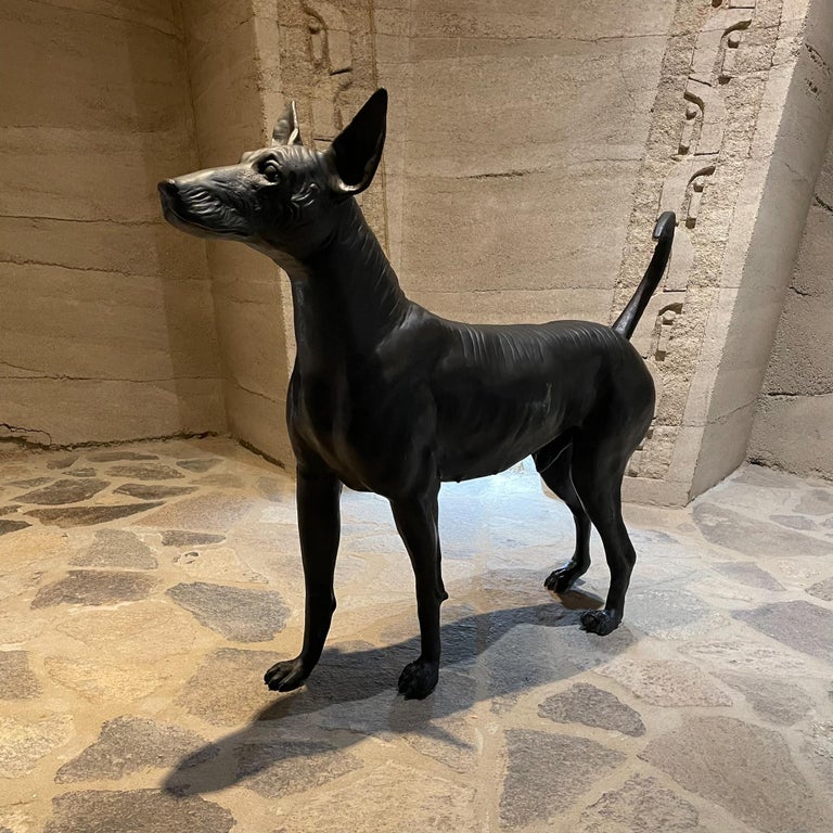 Xolo Hairless Dog Bronze Sculpture Master Sculptor Guillermo Castaño