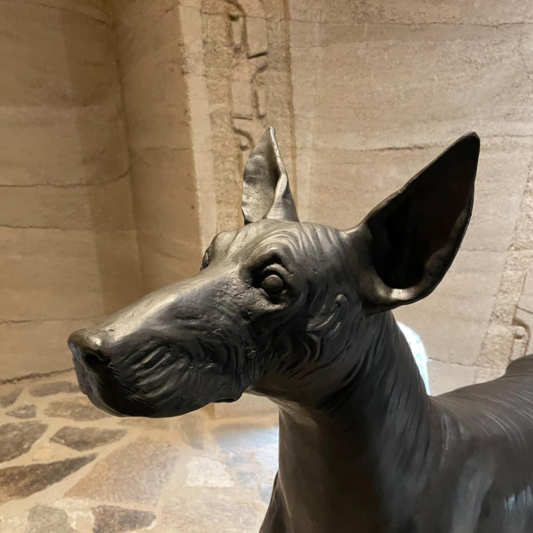 Xolo Hairless Dog Bronze Sculpture Master Sculptor Guillermo Castaño