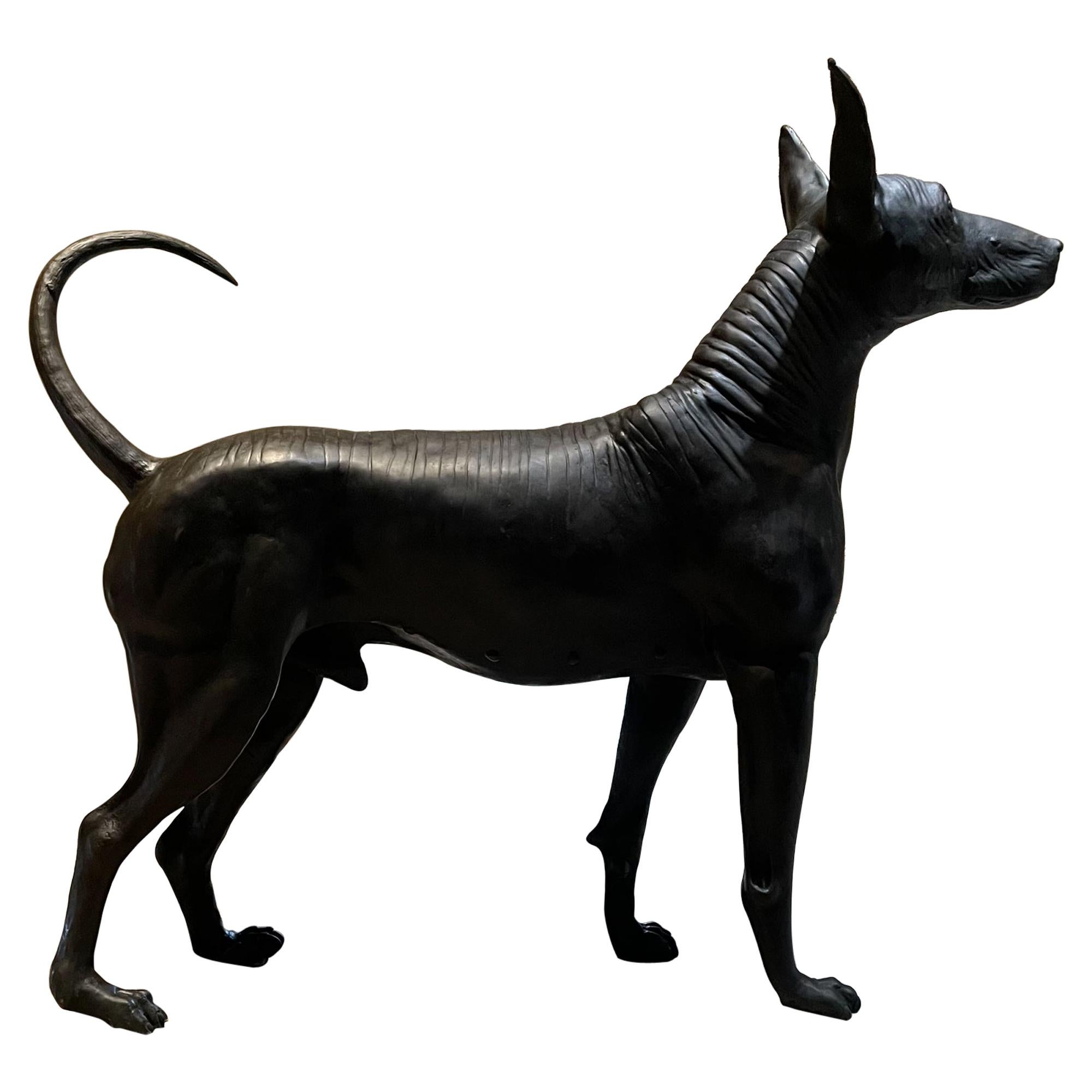 AMBIANIC presents
Beyond amazing lifelike Sculpture Mexican Hairless Dog Xoloitzcuintli Xolo in Cast Bronze.
Simply brilliant Xoloitzcuintle sculpture by Mexican sculptor Guillermo Castaño, internationally known sculptor acknowledged master of the