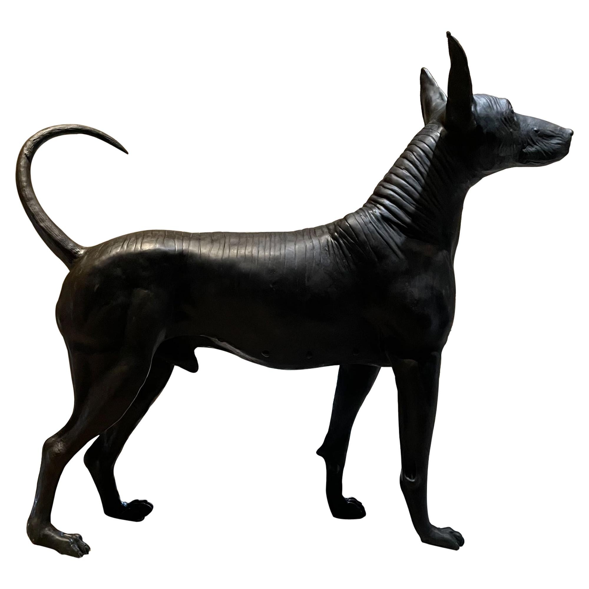AMBIANIC presenta
Scultura oltremodo realistica del cane messicano senza pelo Xoloitzcuintli Xolo in bronzo fuso.
Semplicemente brillante scultura Xoloitzcuintle dello scultore messicano Guillermo Castaño, scultore di fama internazionale