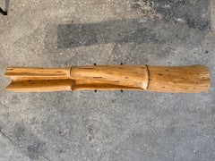 Gorse wood, native to Spain, full of thorns, polished and worked, 75 cm long