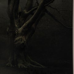 Xteriors IX Desiree Dolron, 1963