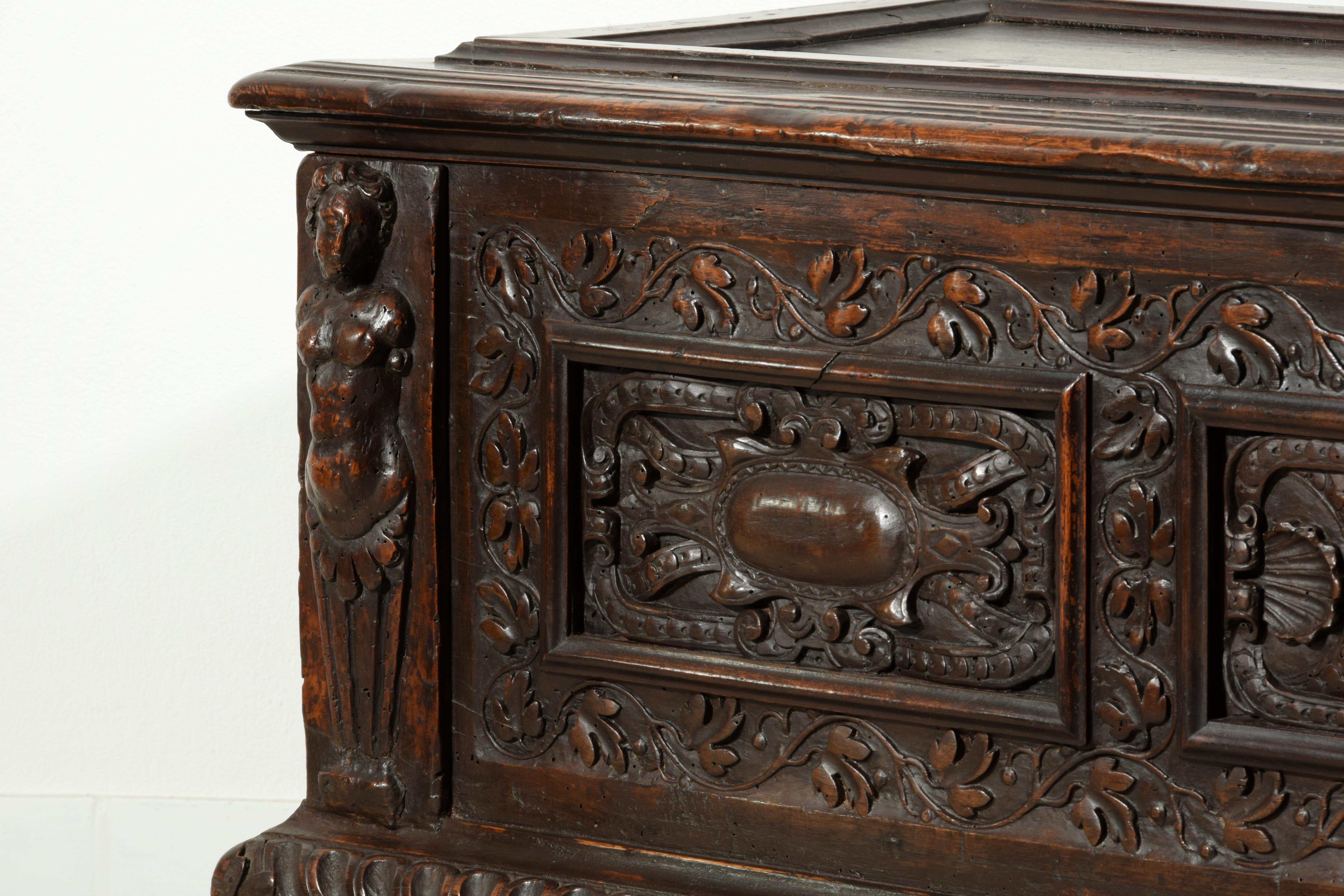 Coffre en bois de la Renaissance italienne du XVIe siècle en vente 10