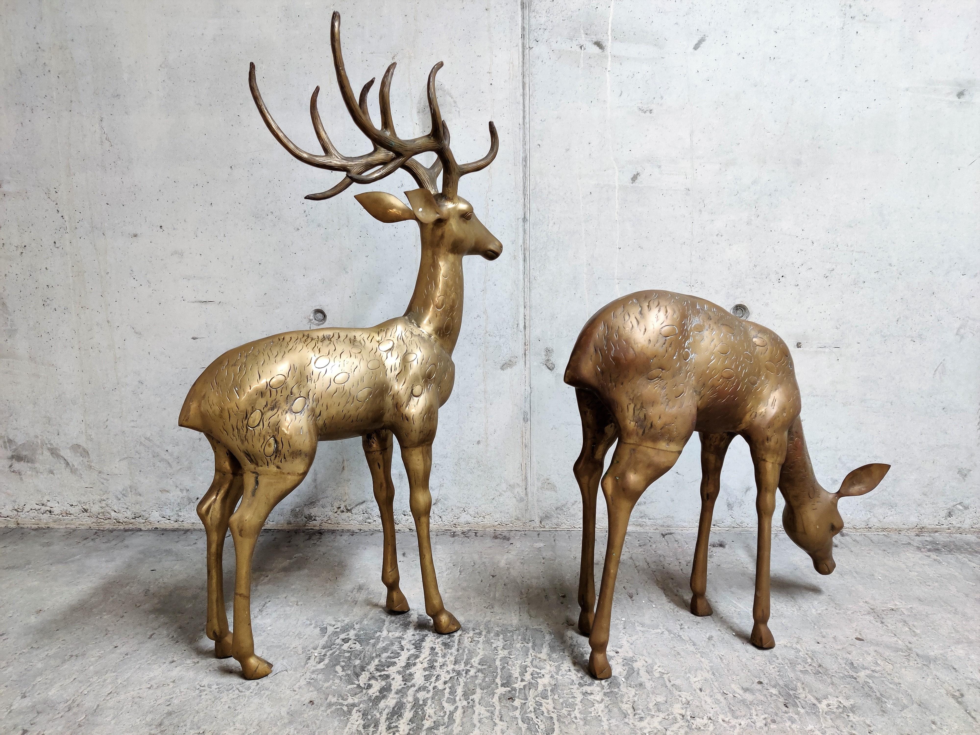 large brass deer set