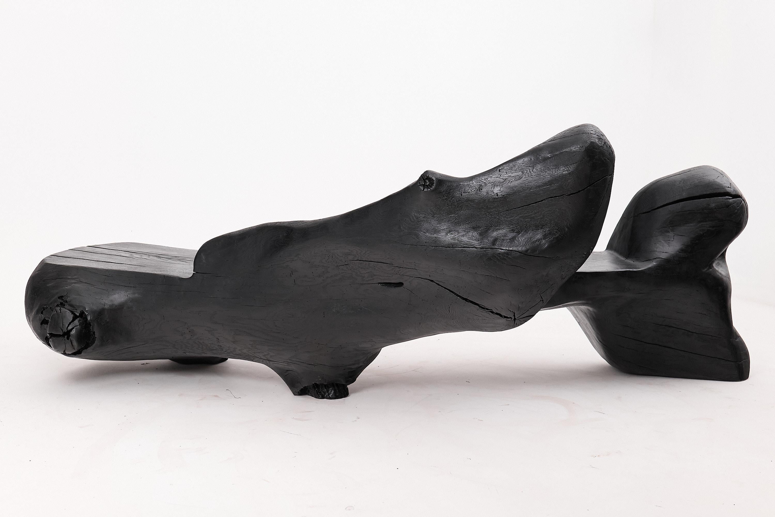 XXL Banc sculptural en bois calciné de forme organique, sculpté à la main dans du bois massif en vente 3
