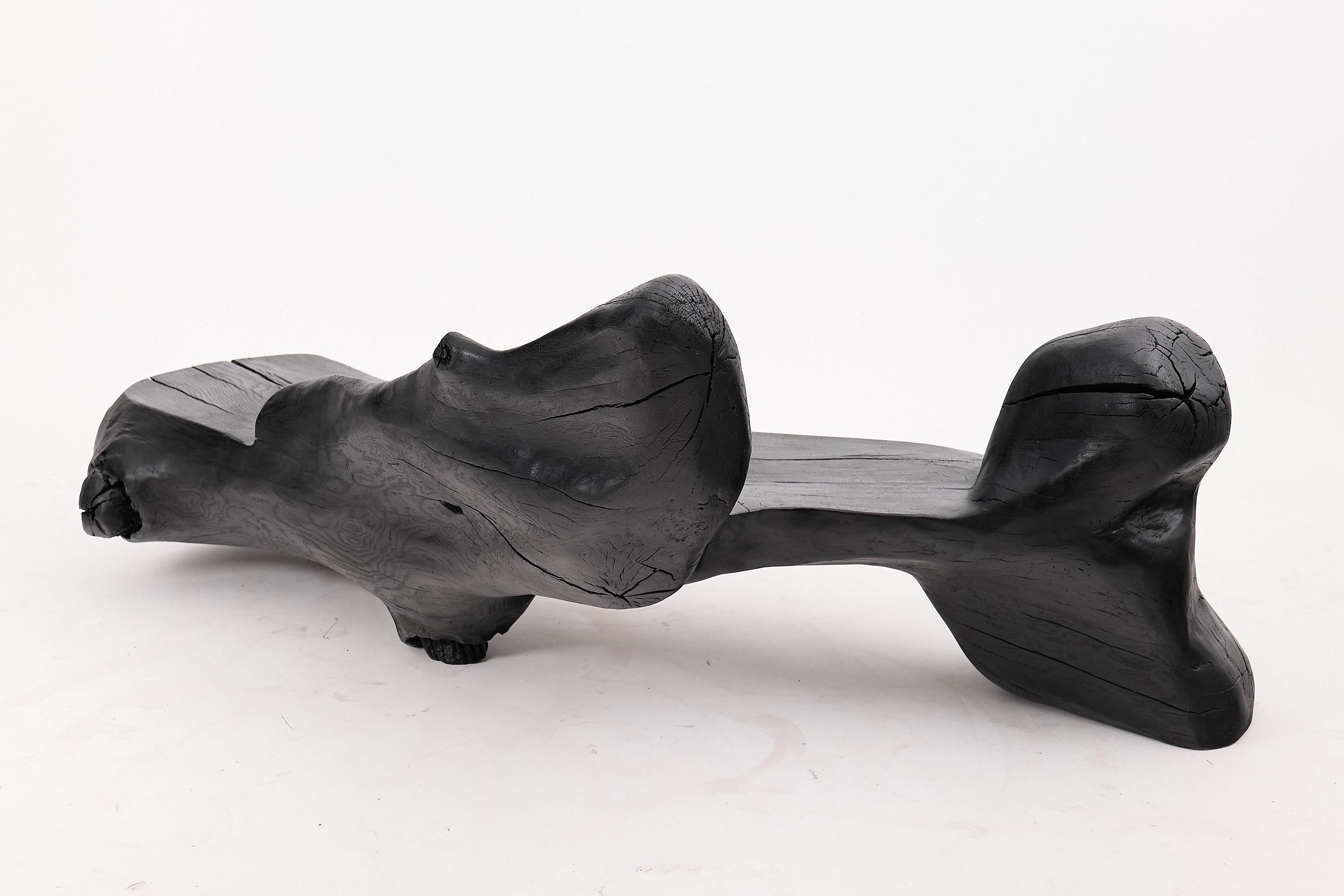 XXL Banc sculptural en bois calciné de forme organique, sculpté à la main dans du bois massif en vente 4