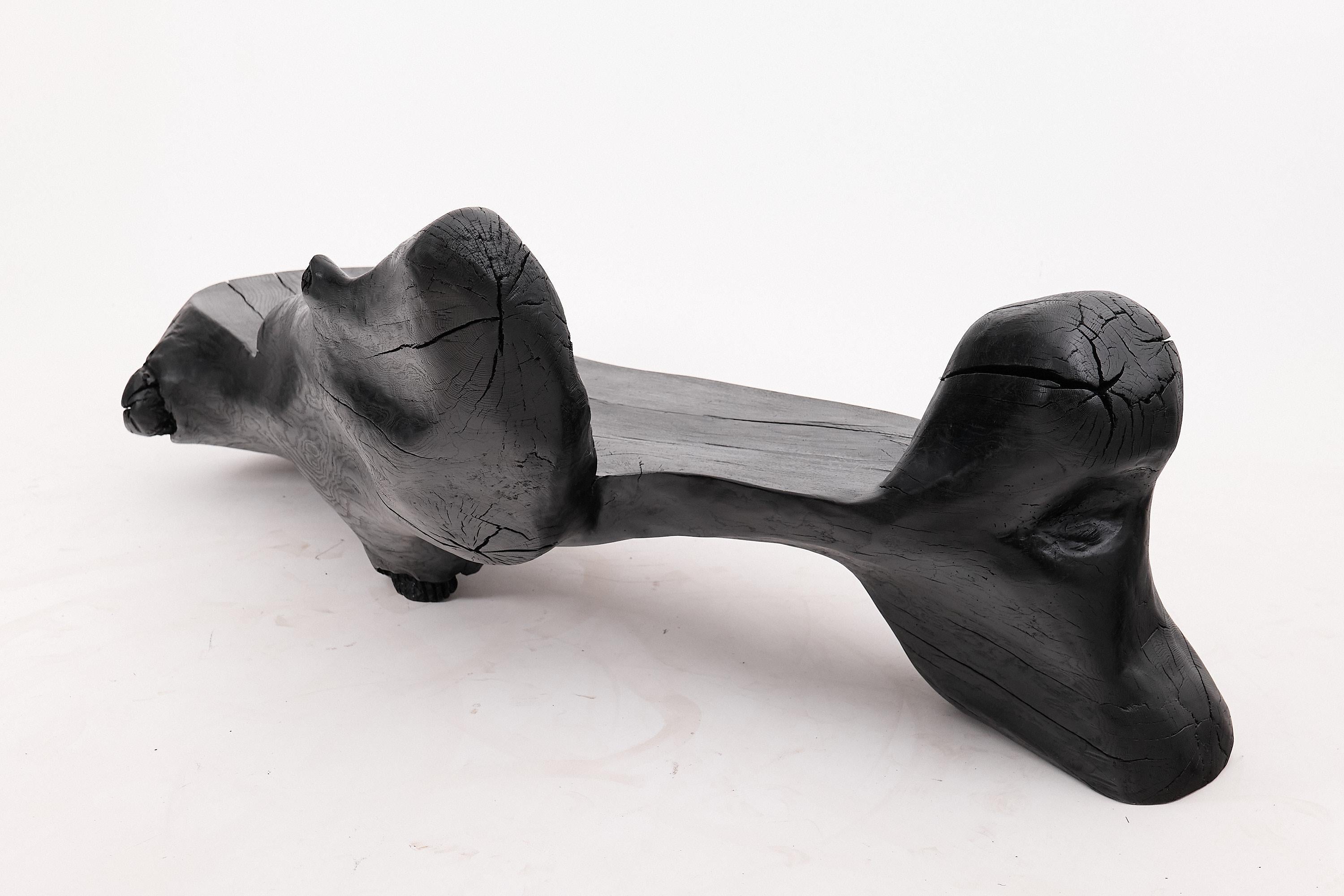 XXL Banc sculptural en bois calciné de forme organique, sculpté à la main dans du bois massif en vente 5