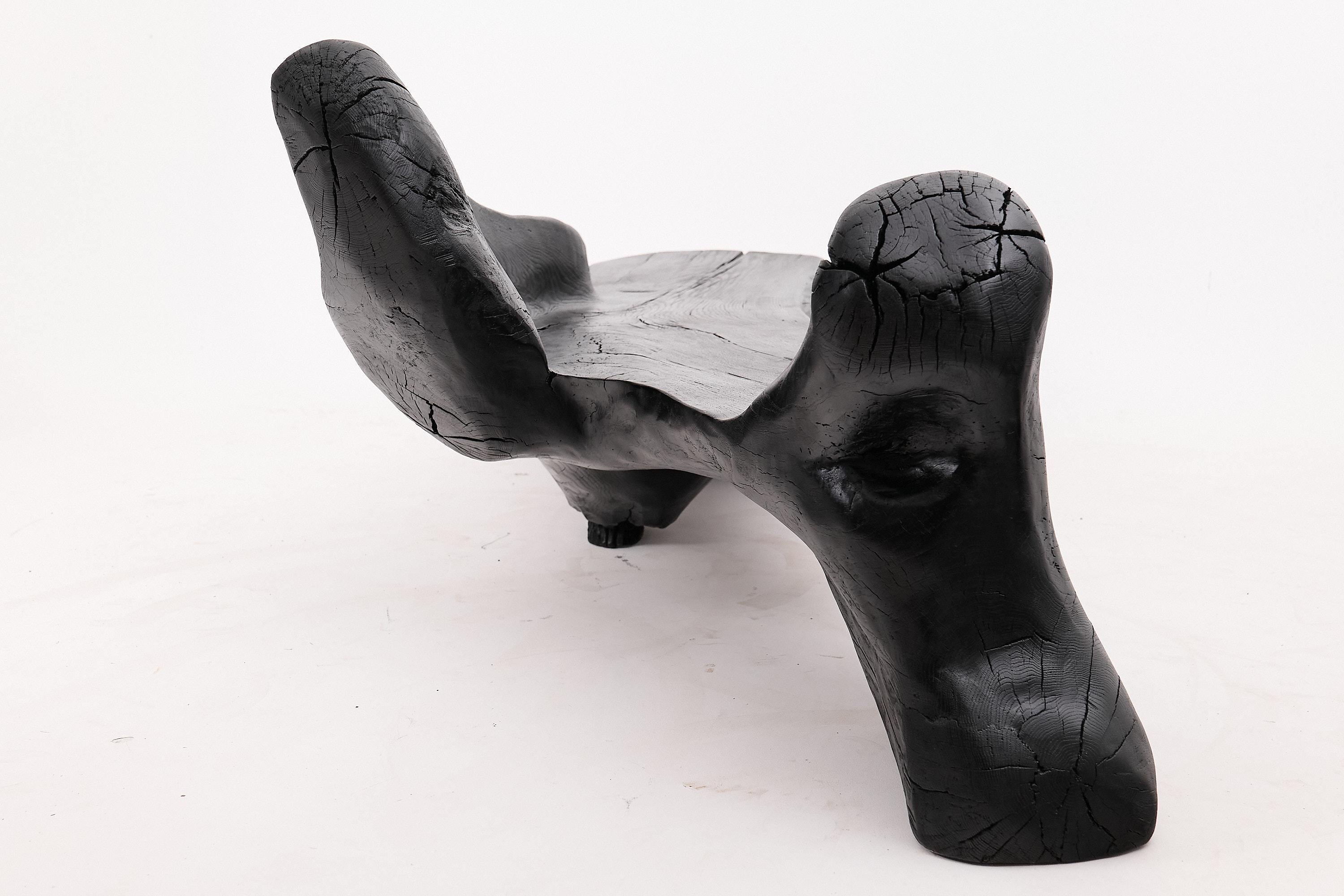 XXL Banc sculptural en bois calciné de forme organique, sculpté à la main dans du bois massif en vente 7
