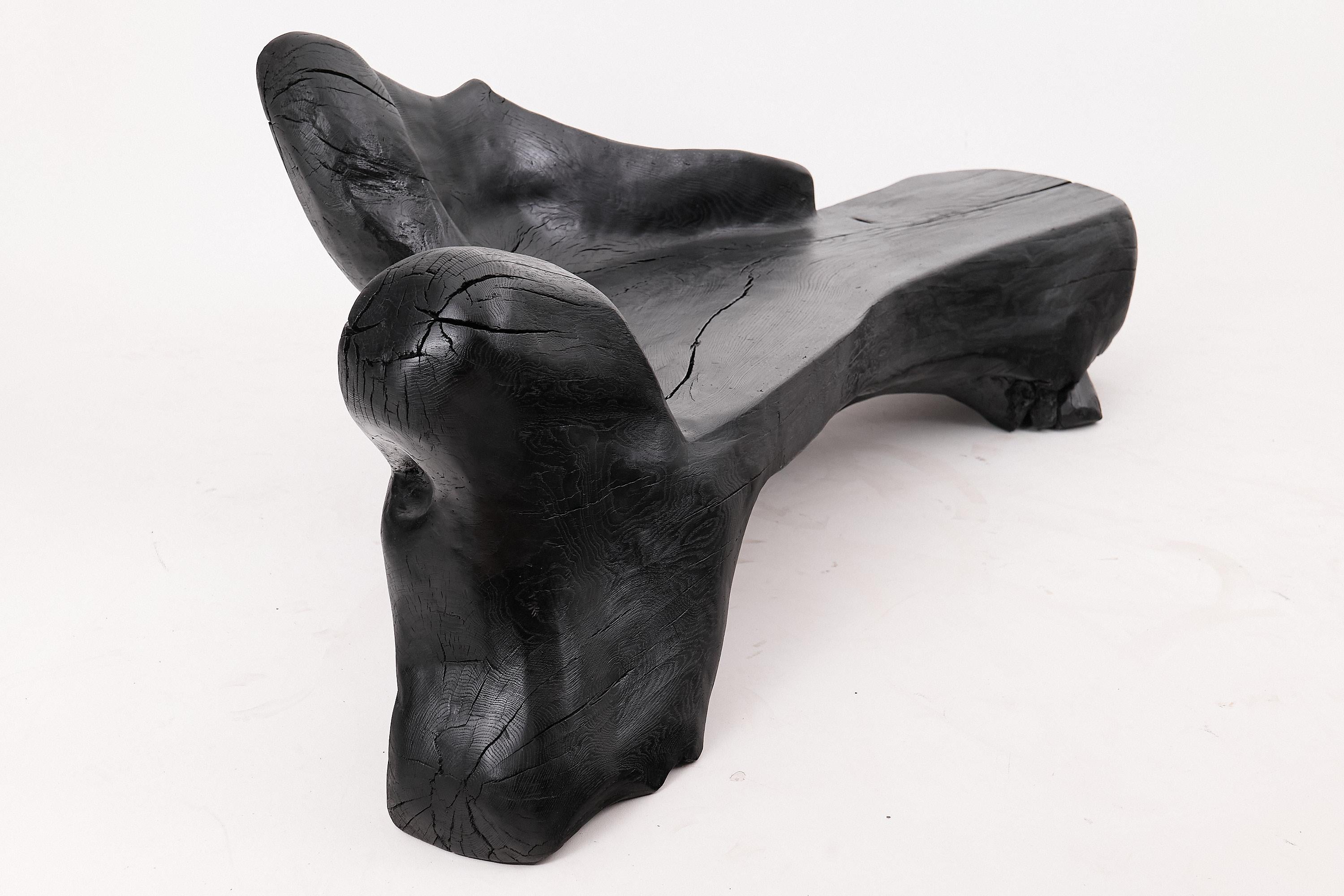 XXL Banc sculptural en bois calciné de forme organique, sculpté à la main dans du bois massif en vente 9