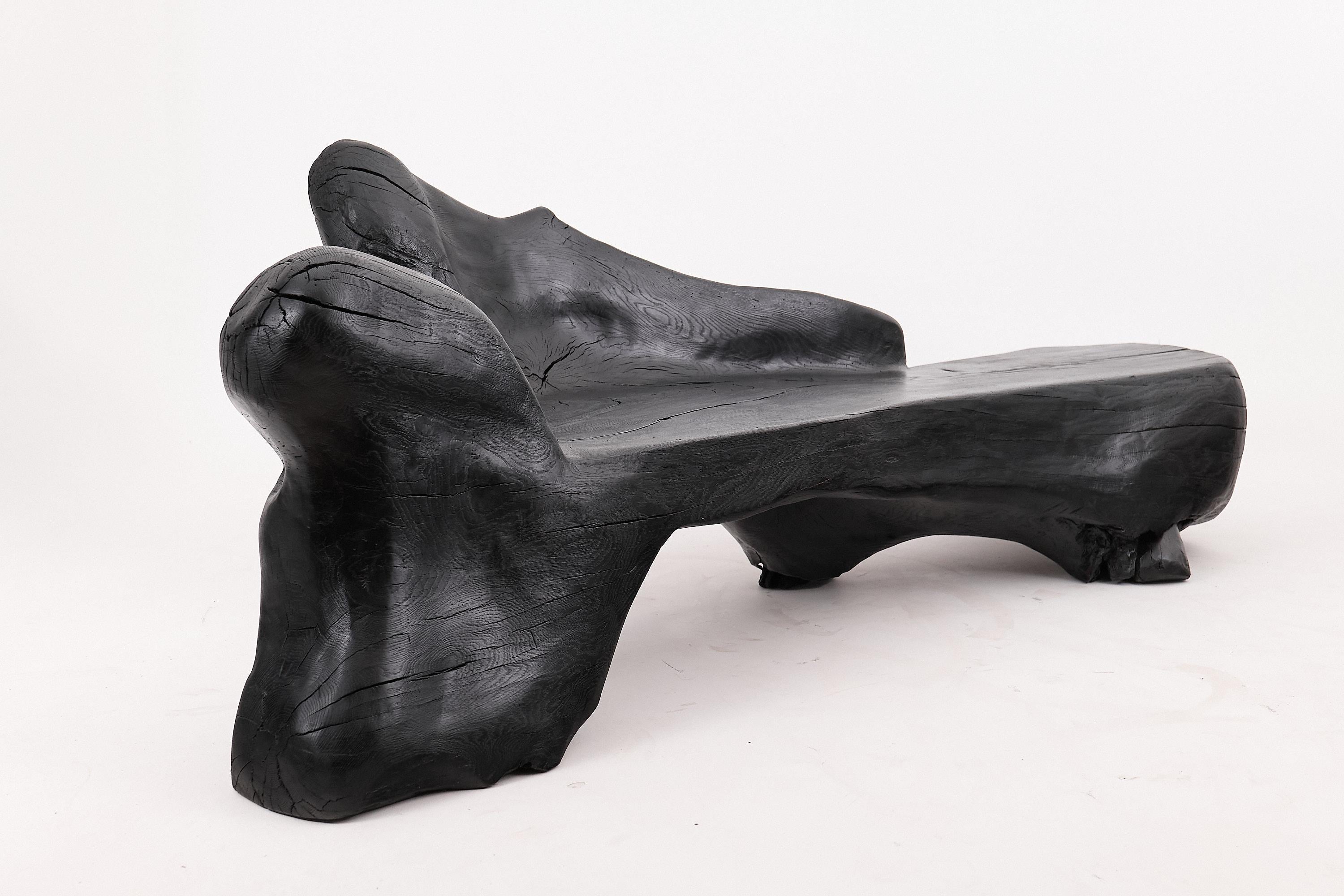 XXL Banc sculptural en bois calciné de forme organique, sculpté à la main dans du bois massif en vente 10