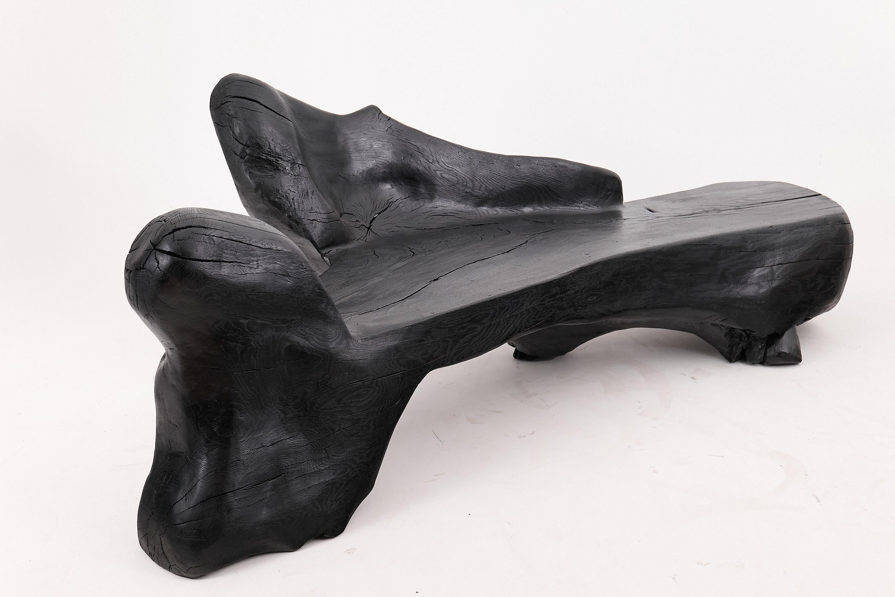 XXL Banc sculptural en bois calciné de forme organique, sculpté à la main dans du bois massif en vente 11