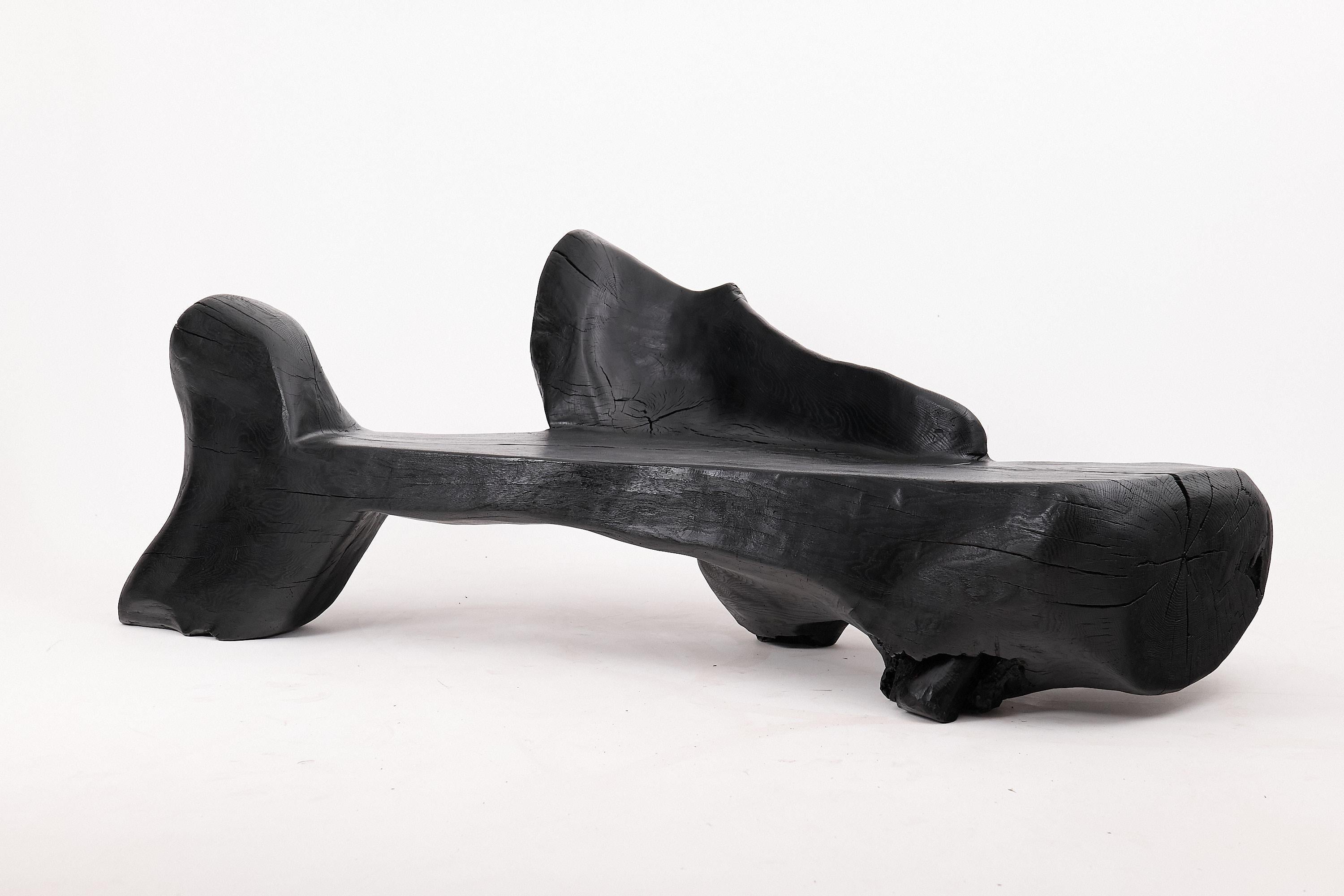 Ce banc sculptural saisissant est une pièce unique, sculptée à la main à partir d'une seule bûche de bois dur massif et finie selon l'ancienne technique japonaise de carbonisation shou sugi ban. Sa silhouette sinueuse et organique évoque des formes